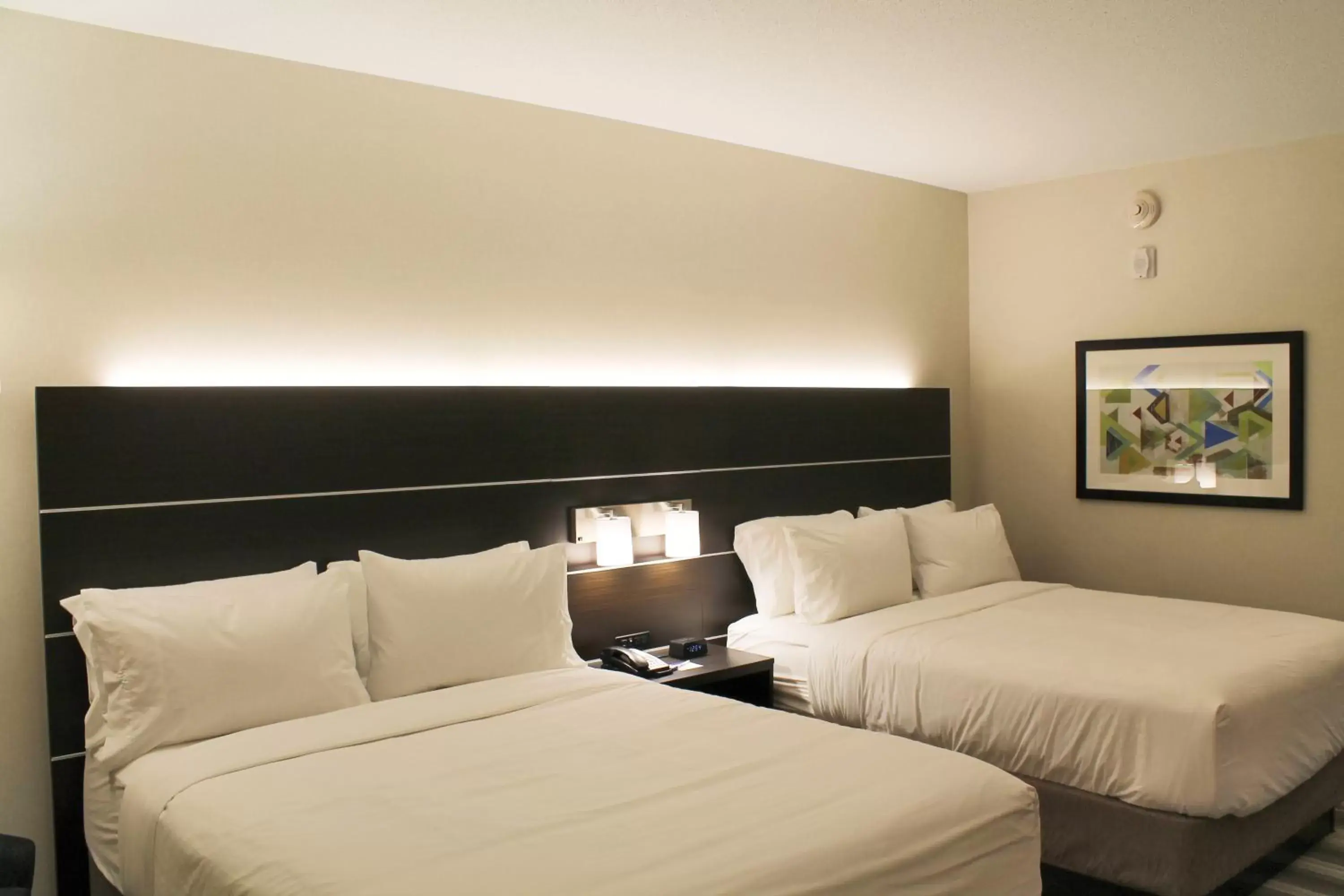 Photo of the whole room, Bed in Holiday Inn Express & Suites - St. Louis South - I-55, an IHG Hotel