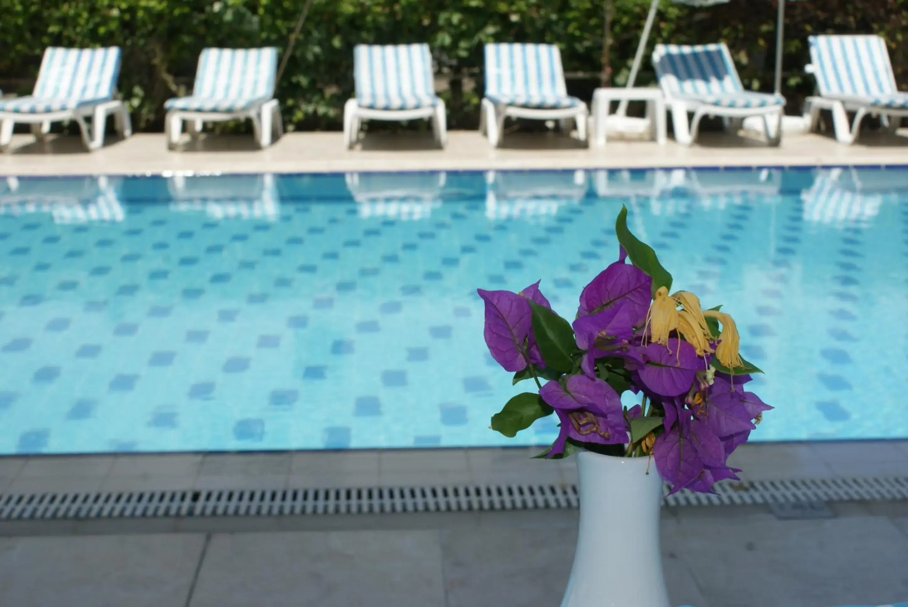 Swimming Pool in Santa Marina Hotel