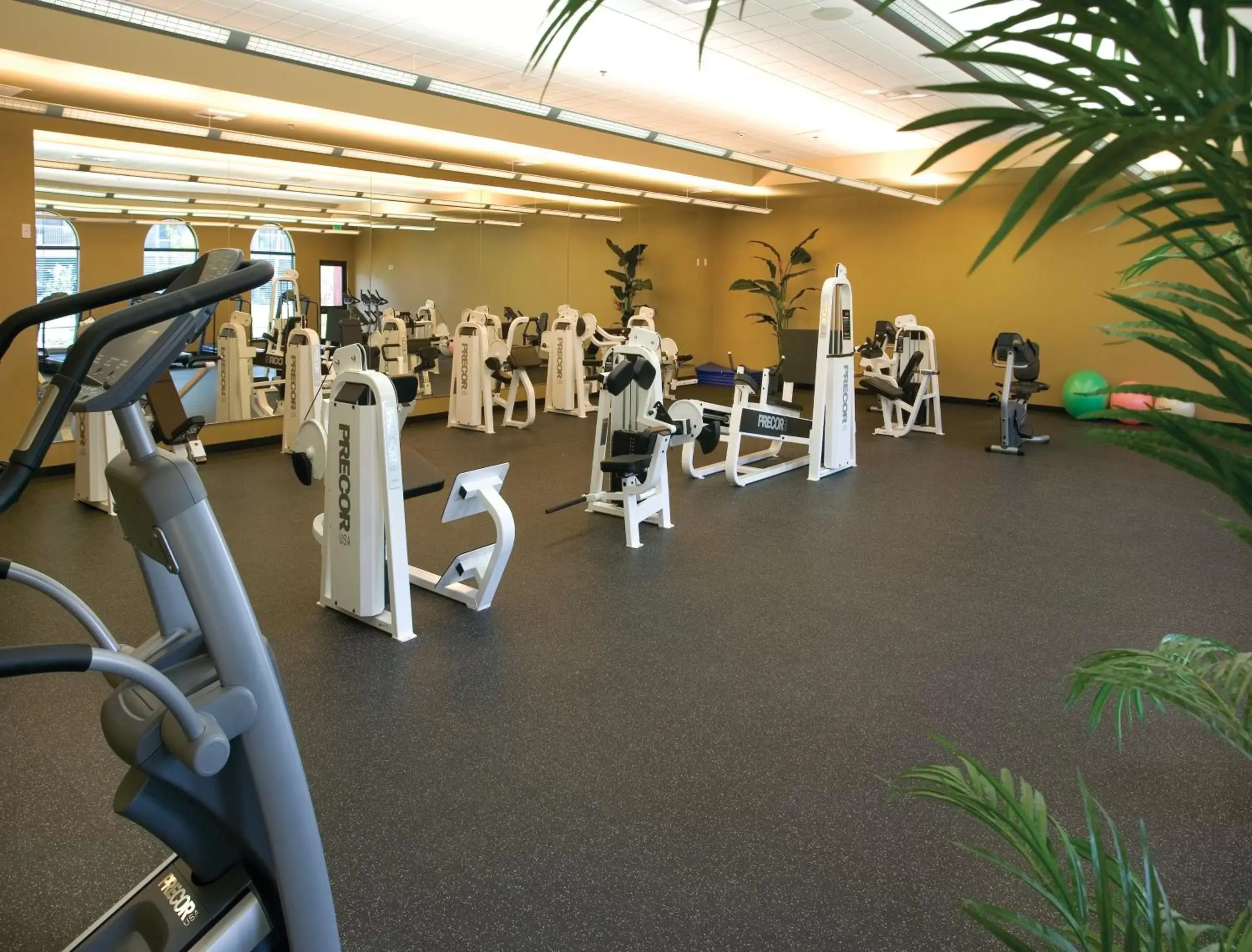 Fitness centre/facilities, Fitness Center/Facilities in WorldMark Indio