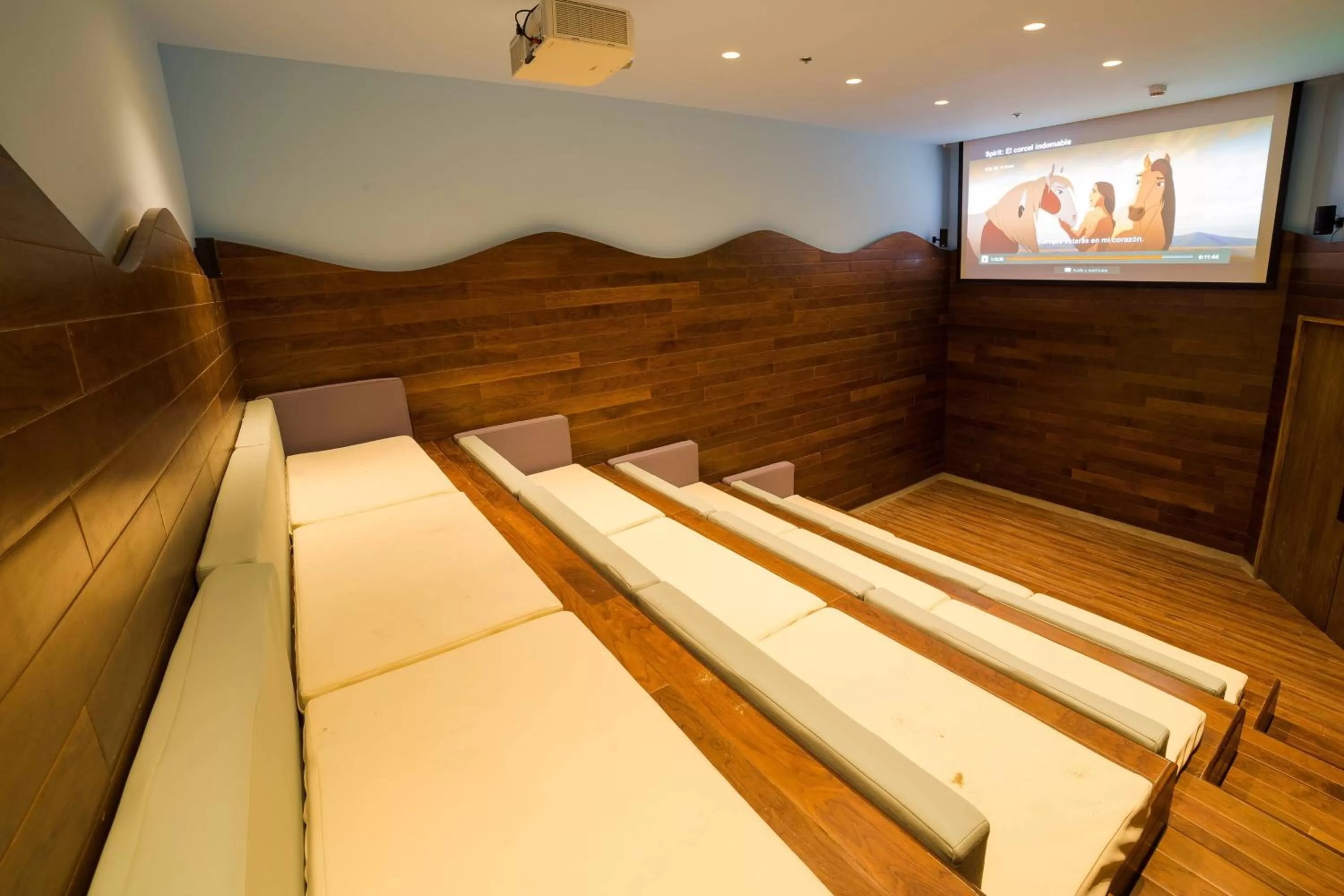 Other in JW Marriott Los Cabos Beach Resort & Spa