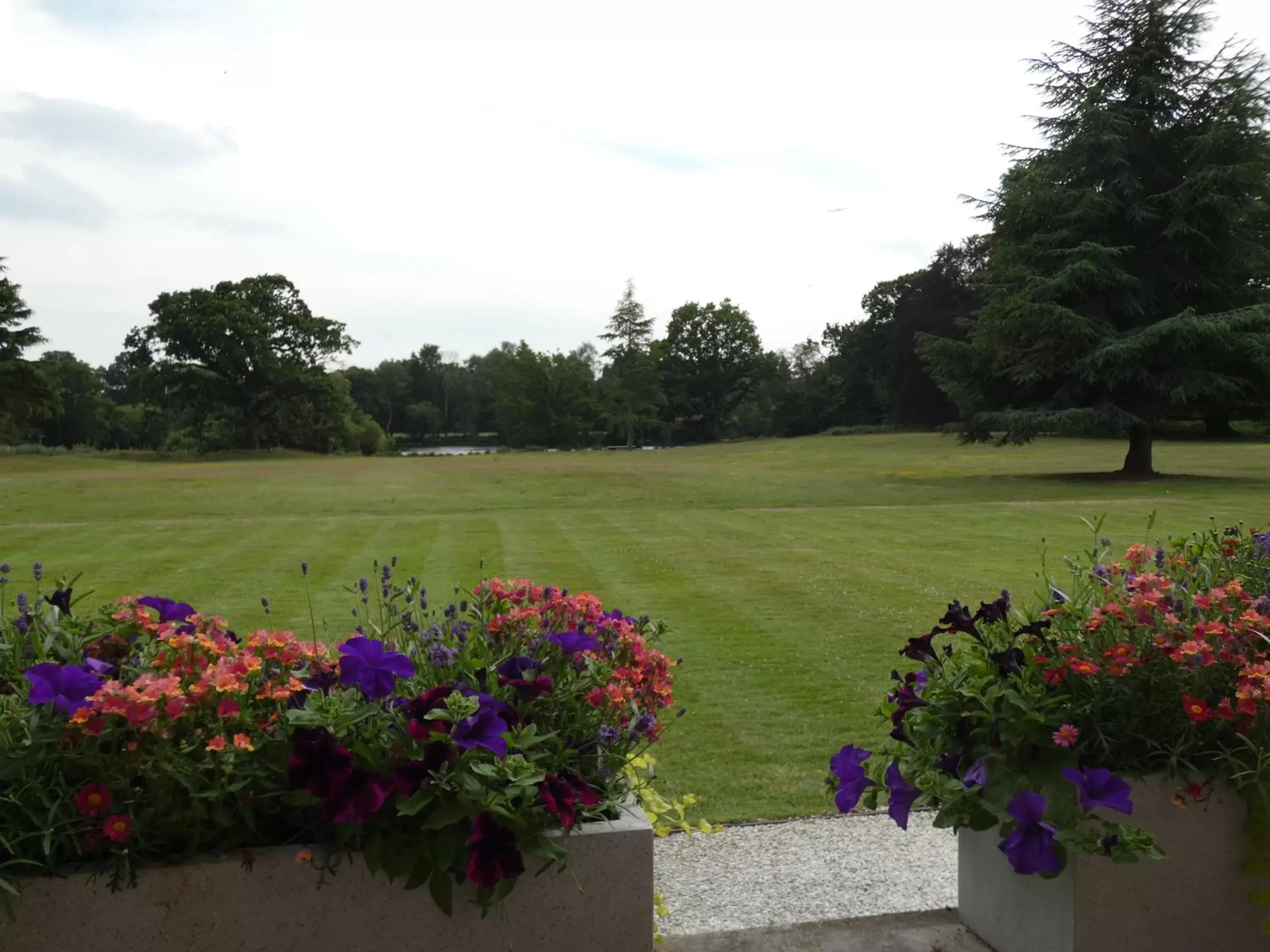 Garden in Stoke Place- Part of the Cairn Collection