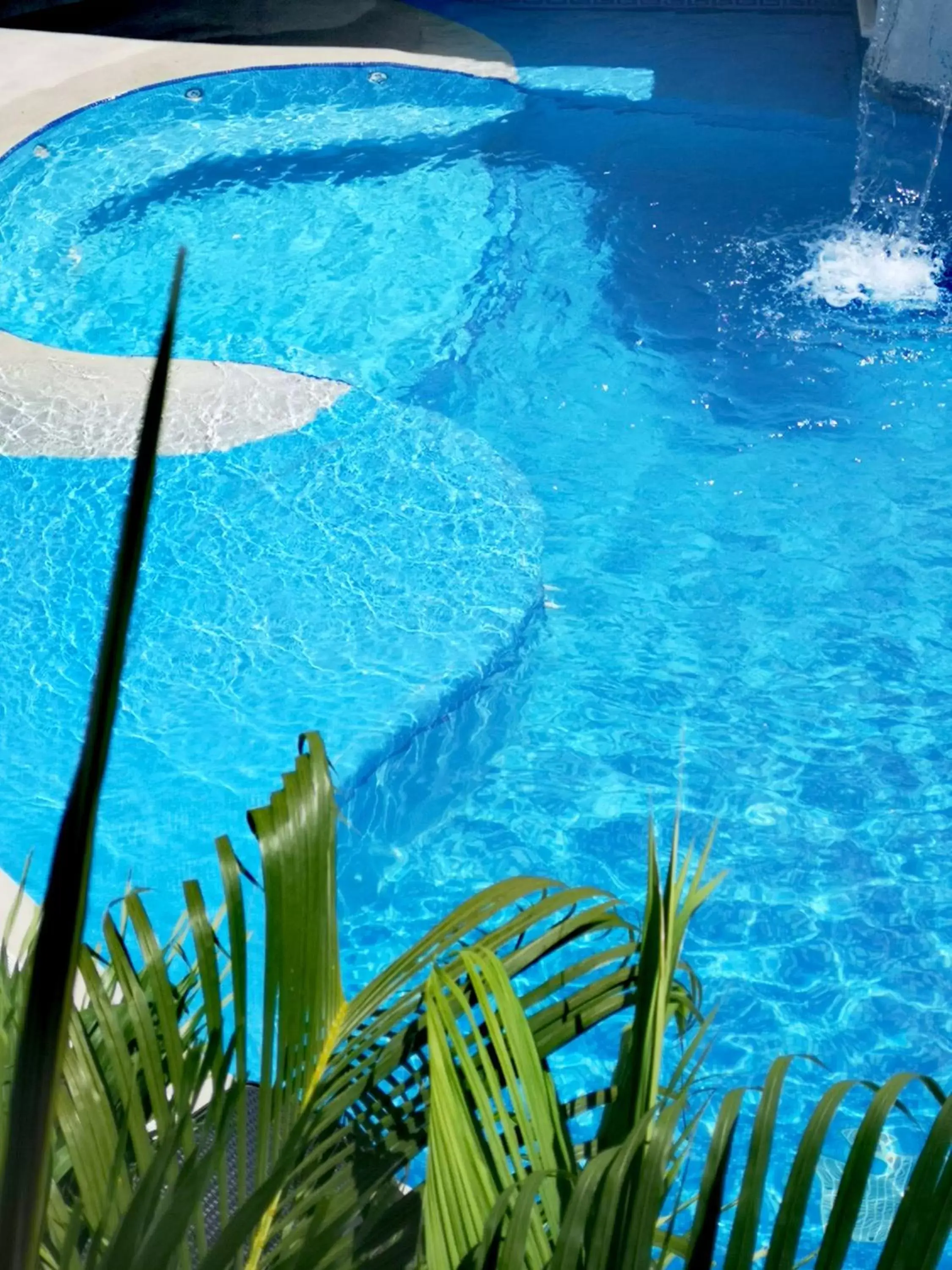 Pool view, Swimming Pool in Hotel Blue Star Cancun