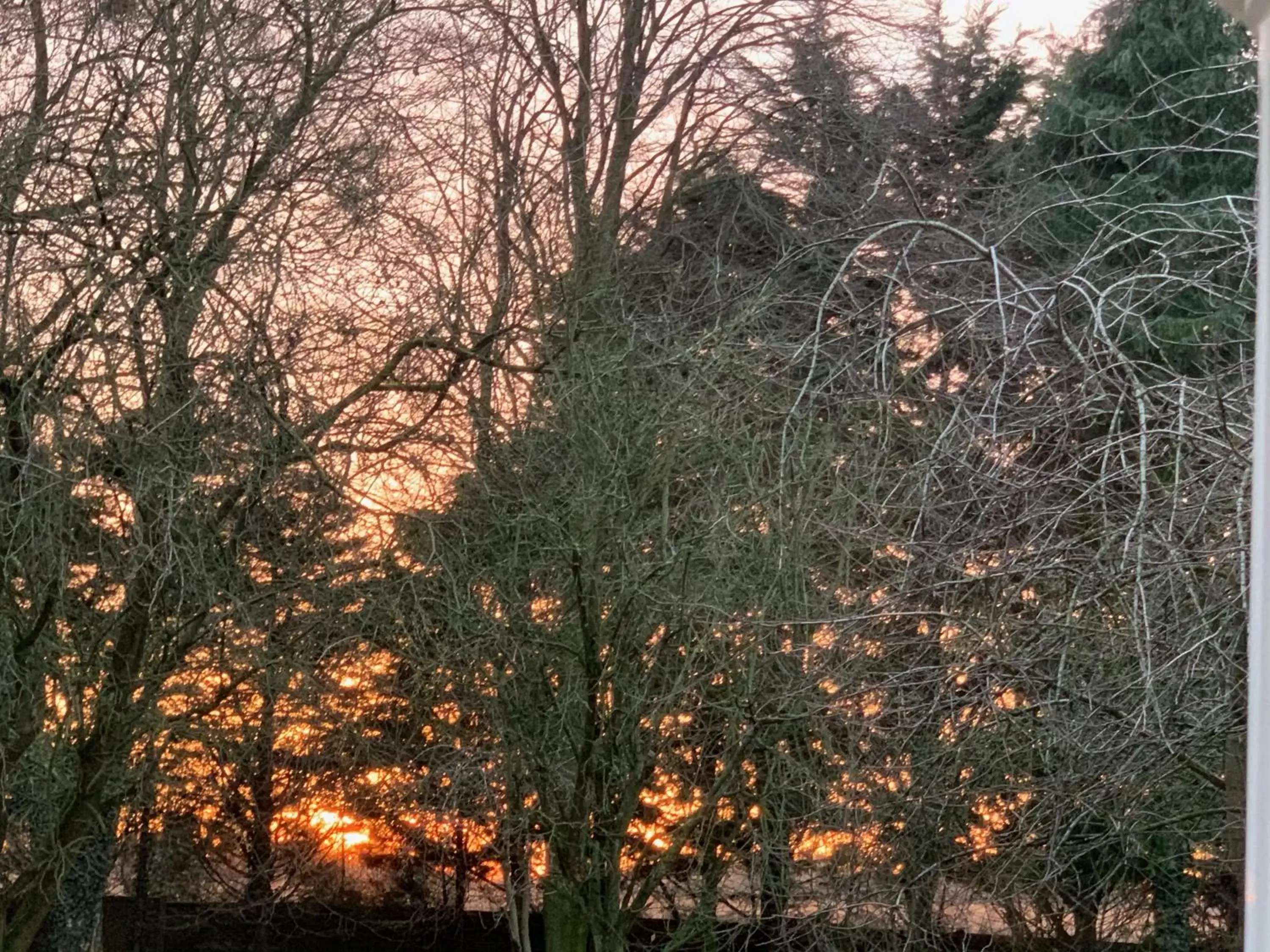 View (from property/room) in Aldercarr Hall