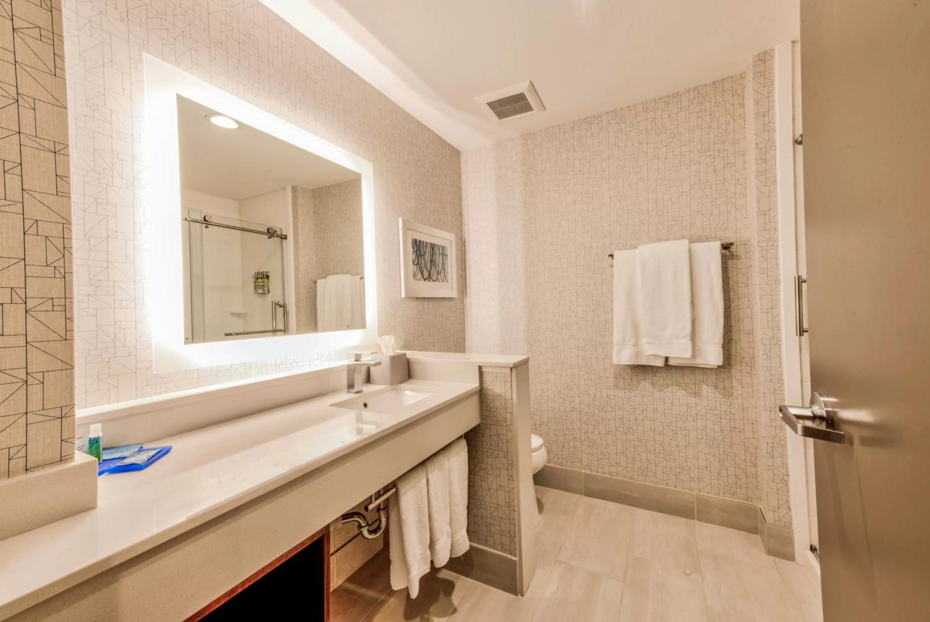 Bathroom in Holiday Inn Express & Suites Dallas NW - Farmers Branch by IHG