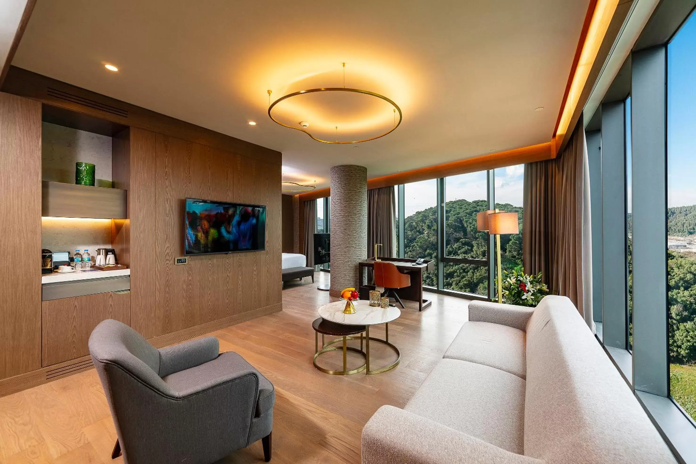 TV and multimedia, Seating Area in Radisson Collection Hotel, Vadistanbul