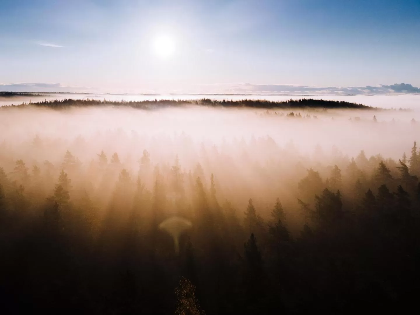 Natural landscape in Haltia Lake Lodge nature boutique hotel & glamping