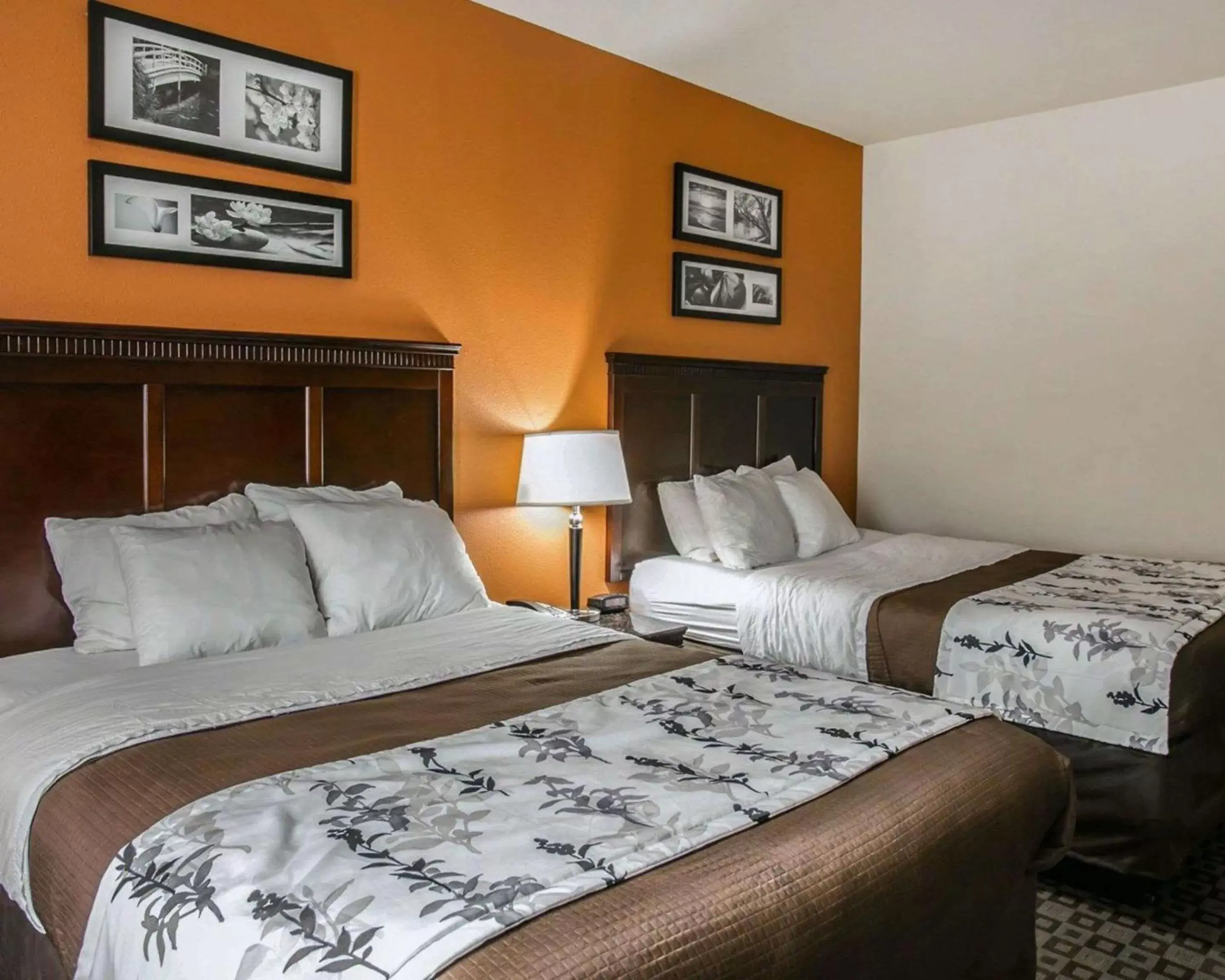 Photo of the whole room, Bed in Sleep Inn & Suites Highway 290/Northwest Freeway