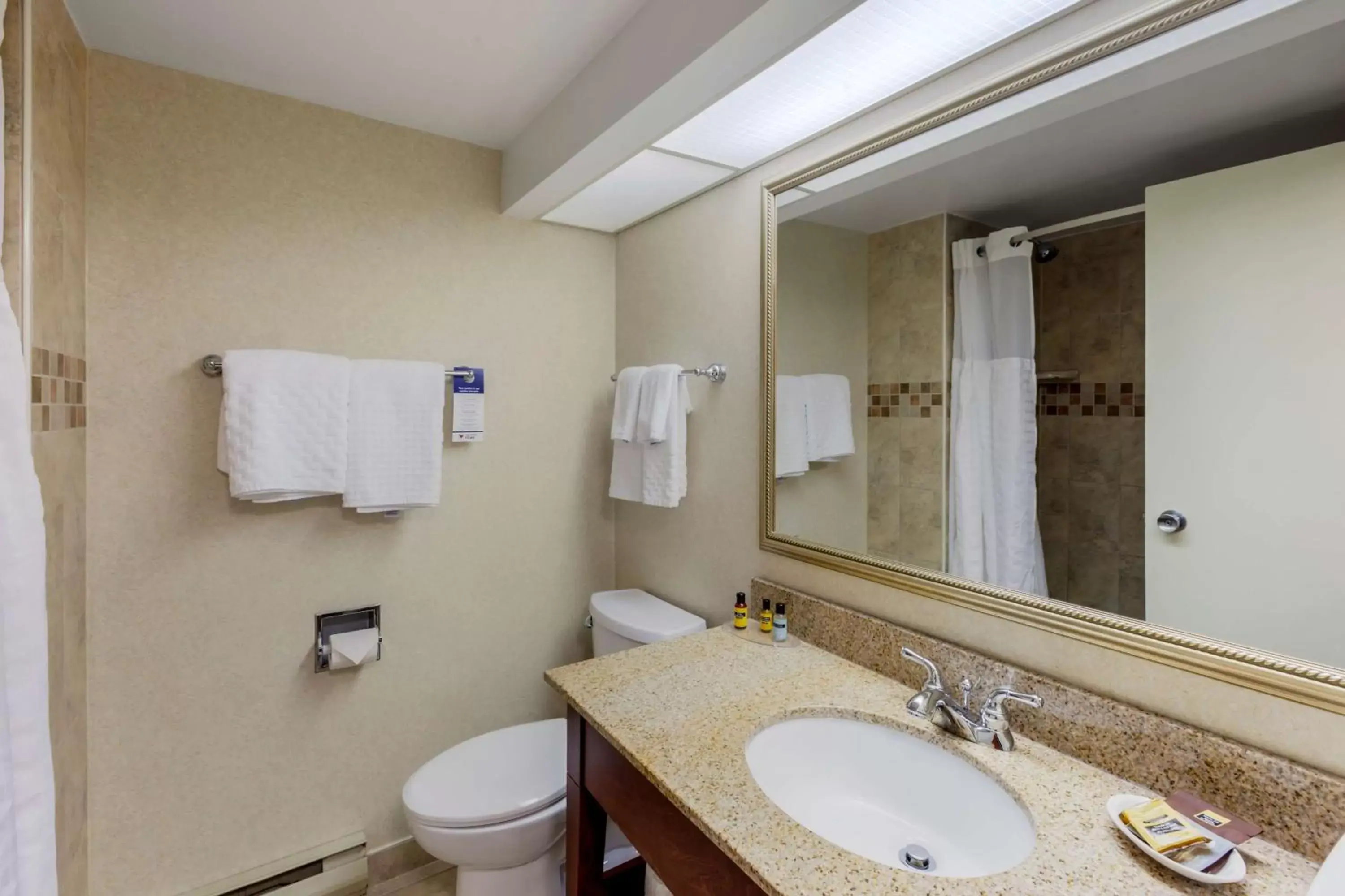 Bathroom in Best Western Plus Otonabee Inn