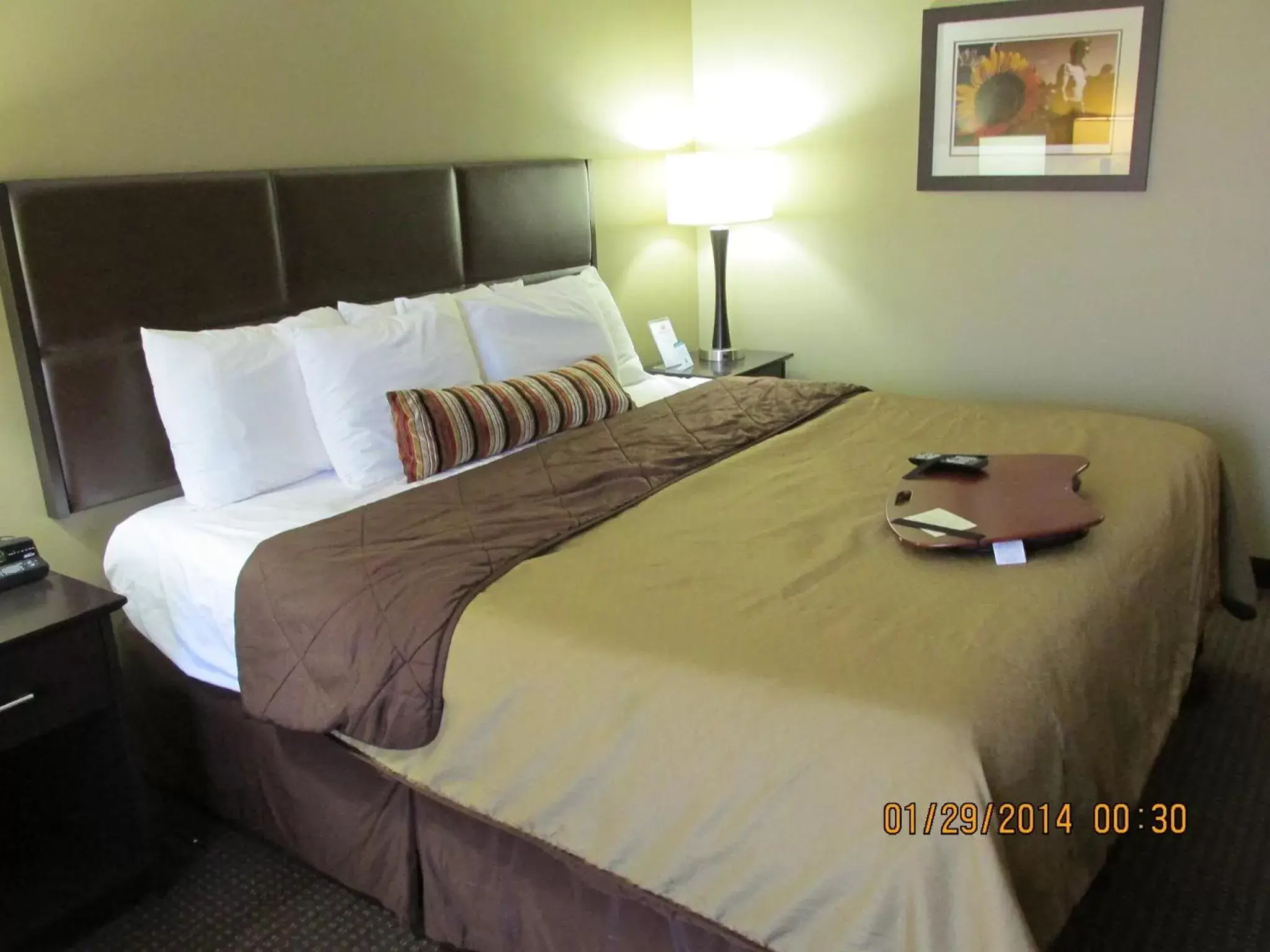 King Room in Parkwood Inn & Suites