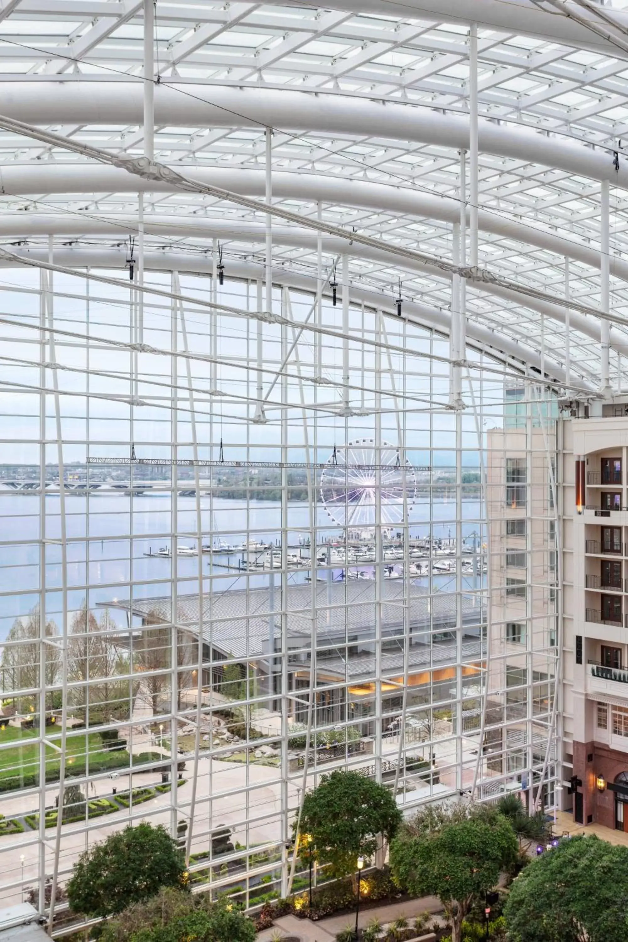 Photo of the whole room in Gaylord National Resort & Convention Center