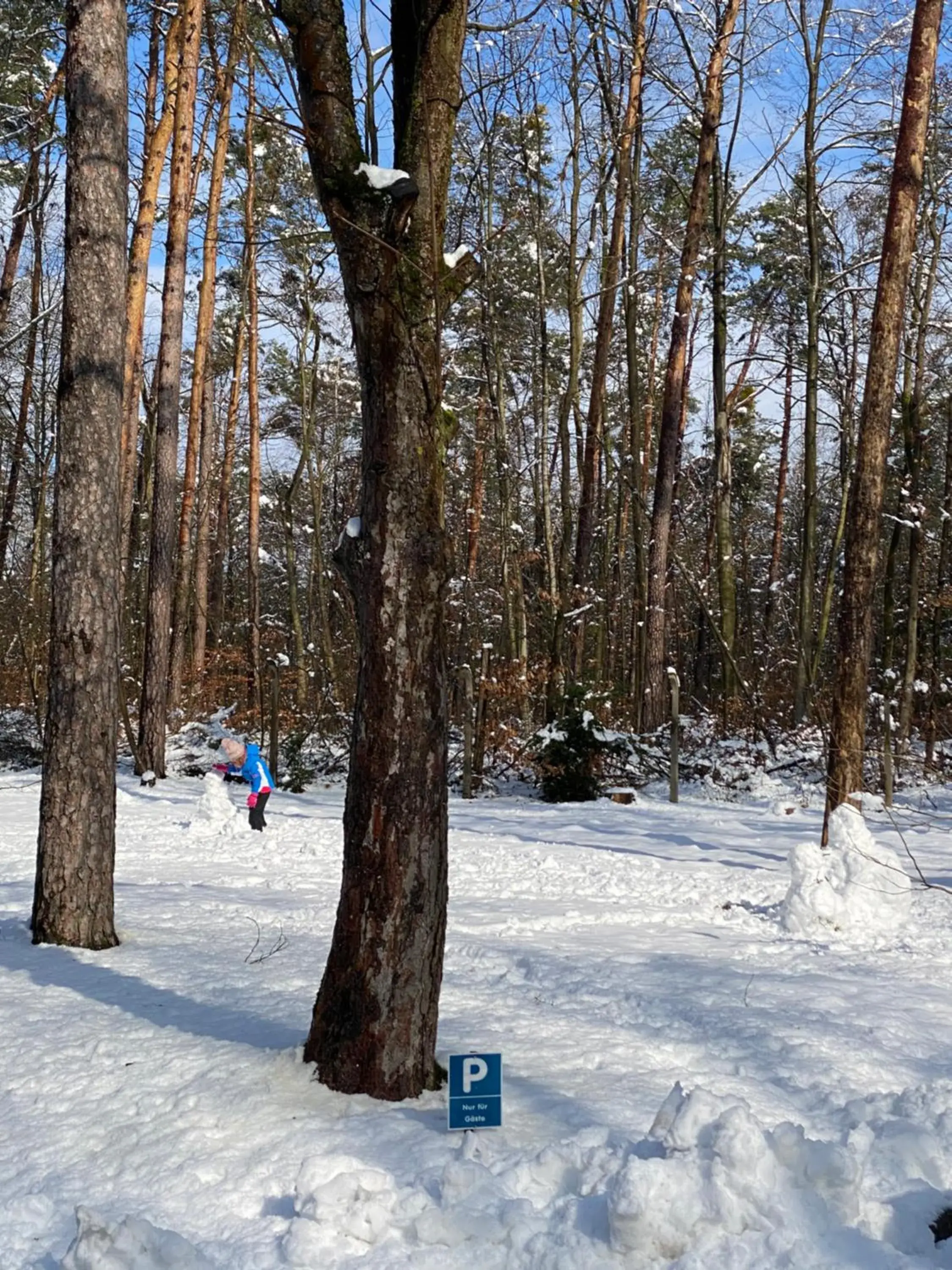 Natural landscape, Winter in Parkhotel Zirndorf