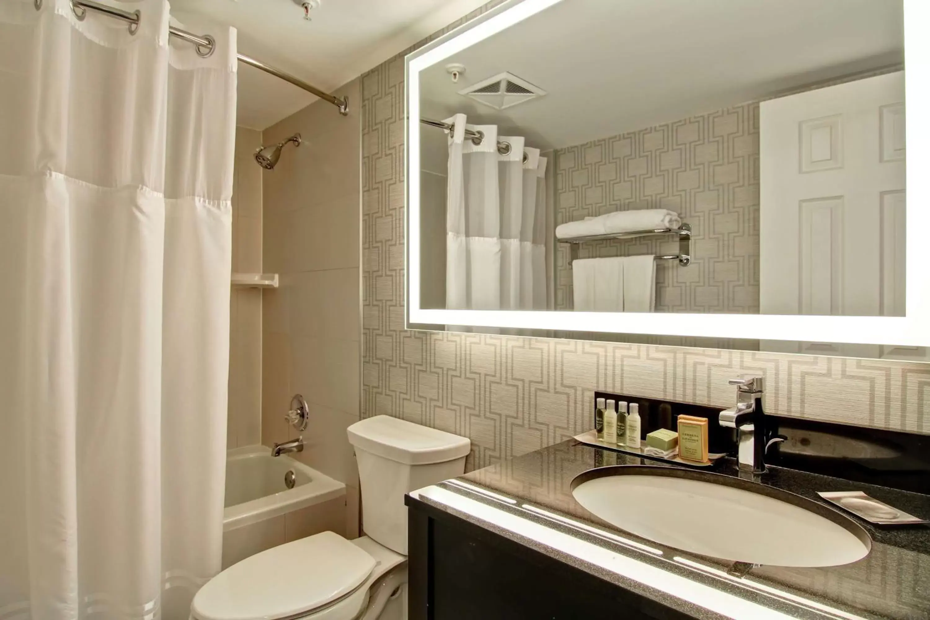 Bathroom in DoubleTree by Hilton Toronto Downtown