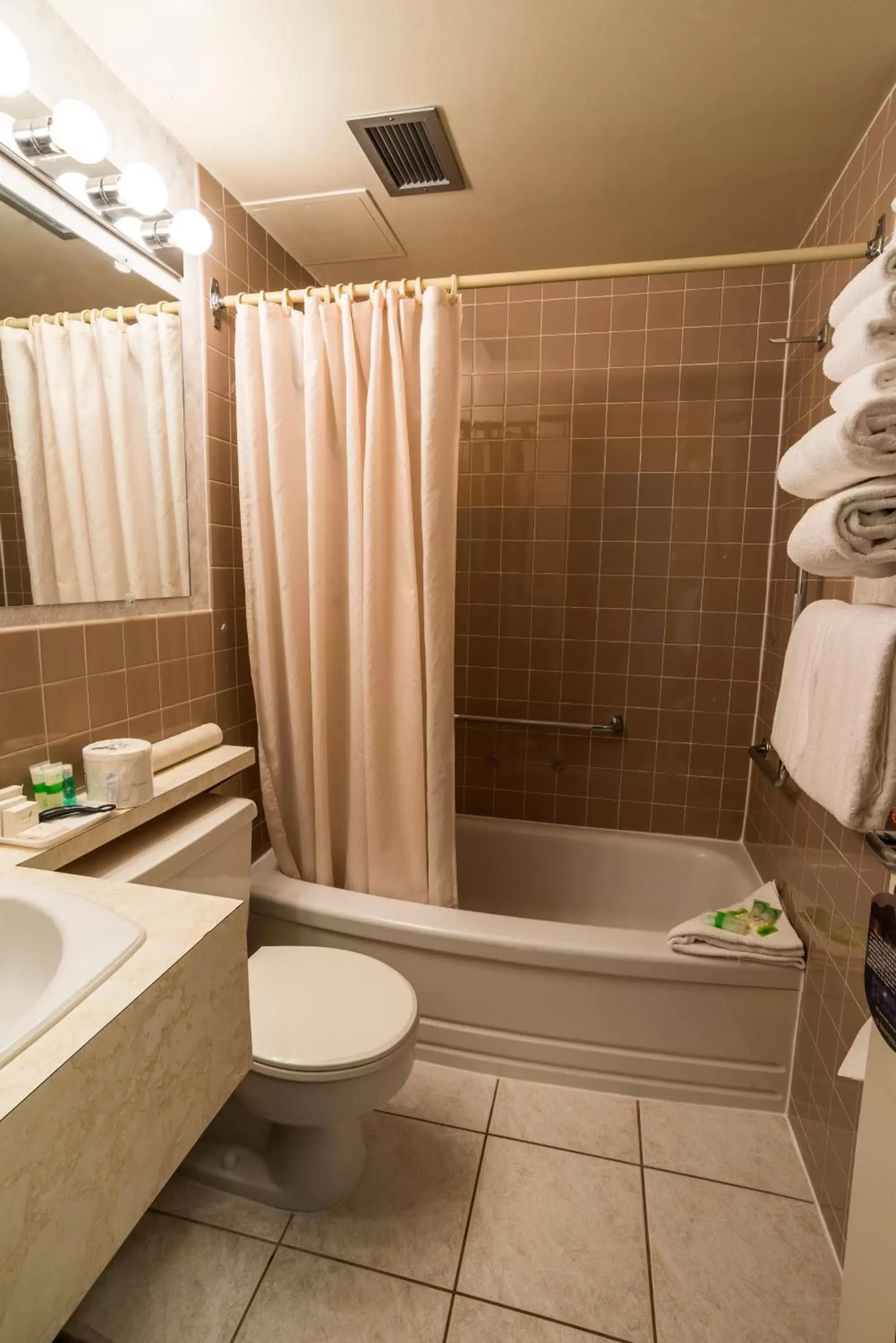 Toilet, Bathroom in Bow View Lodge