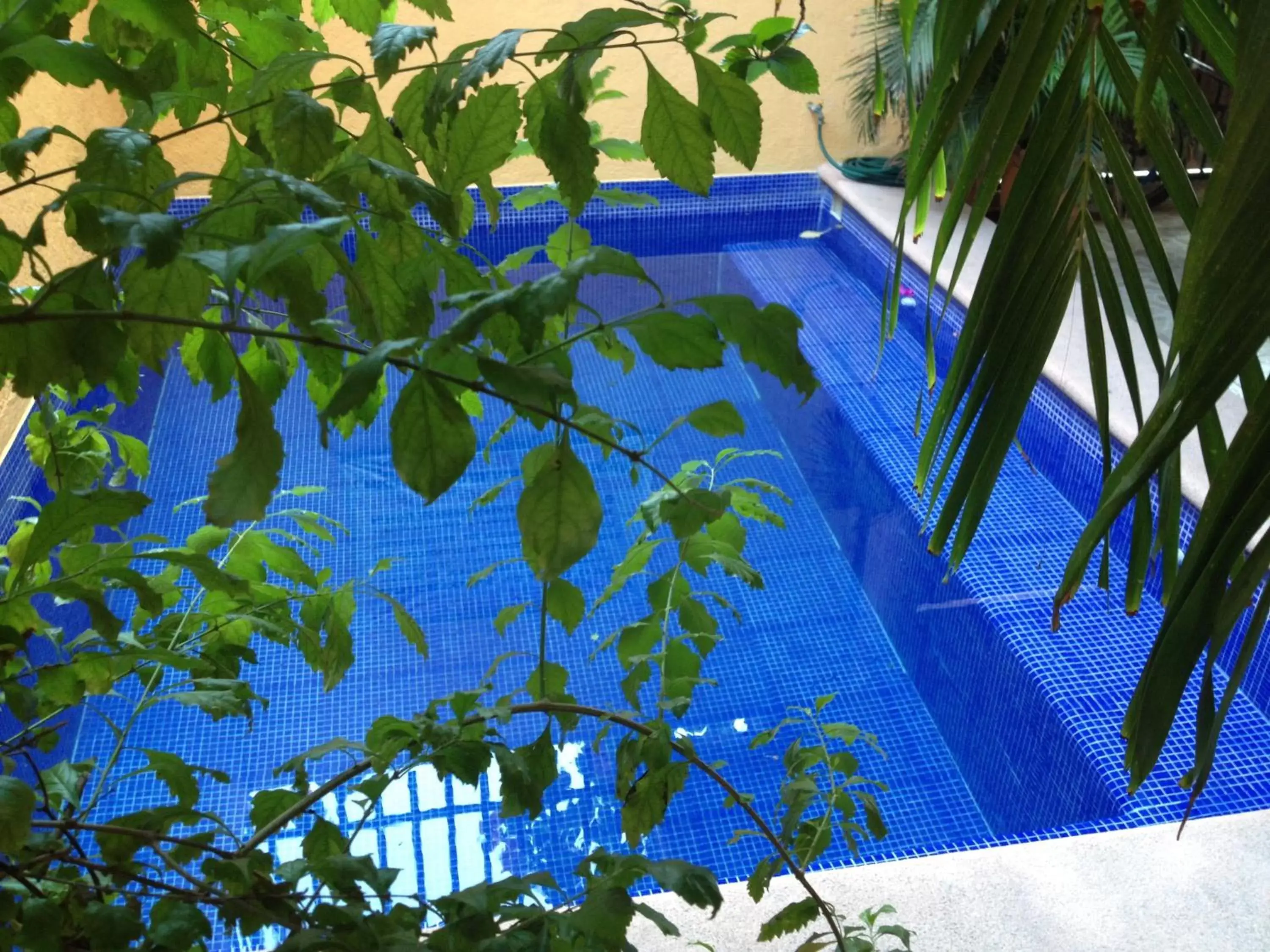 Swimming pool, Pool View in Hotel Las Salinas