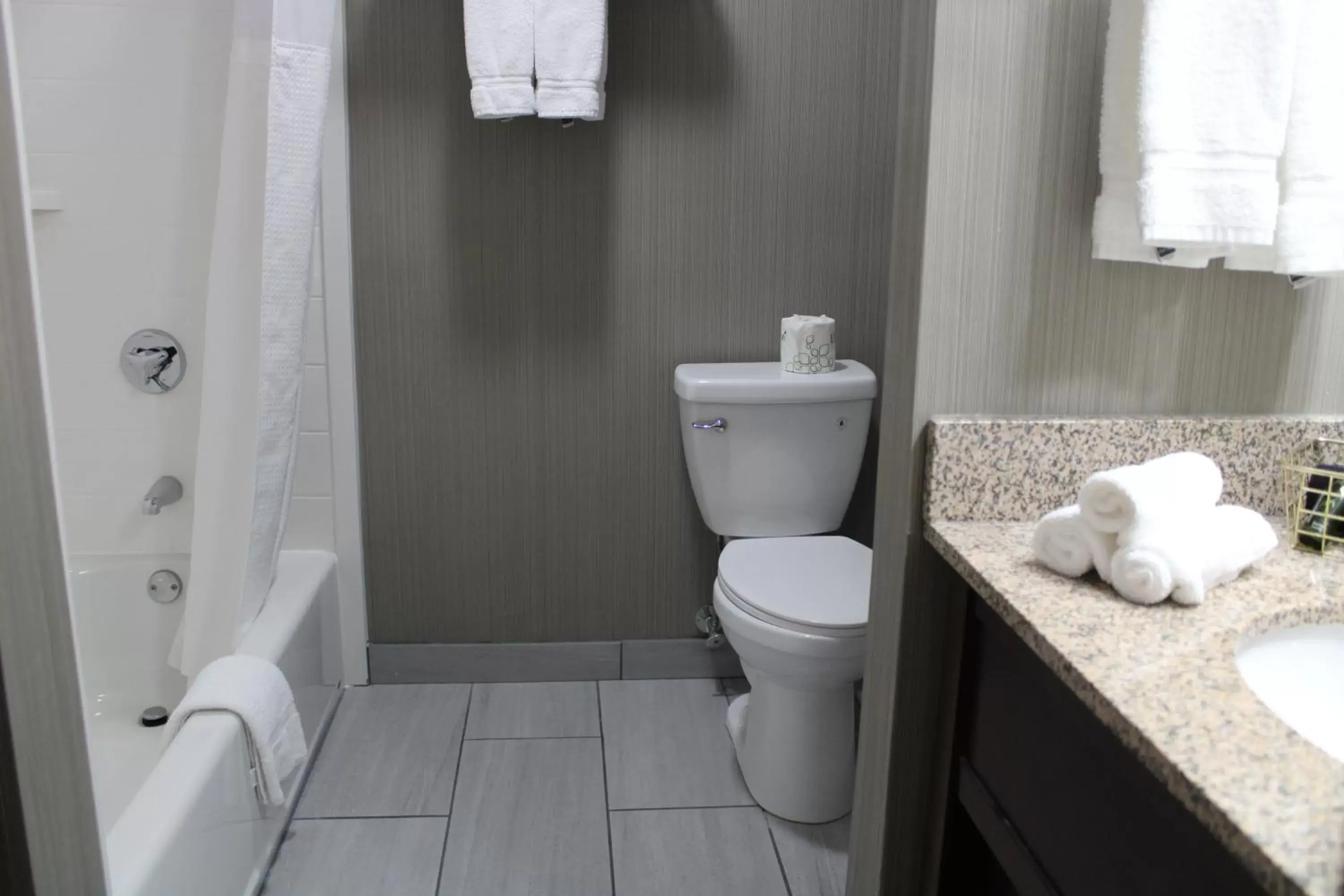 Toilet, Bathroom in The Black Swan Lee - Lenox, Ascend Hotel Collection