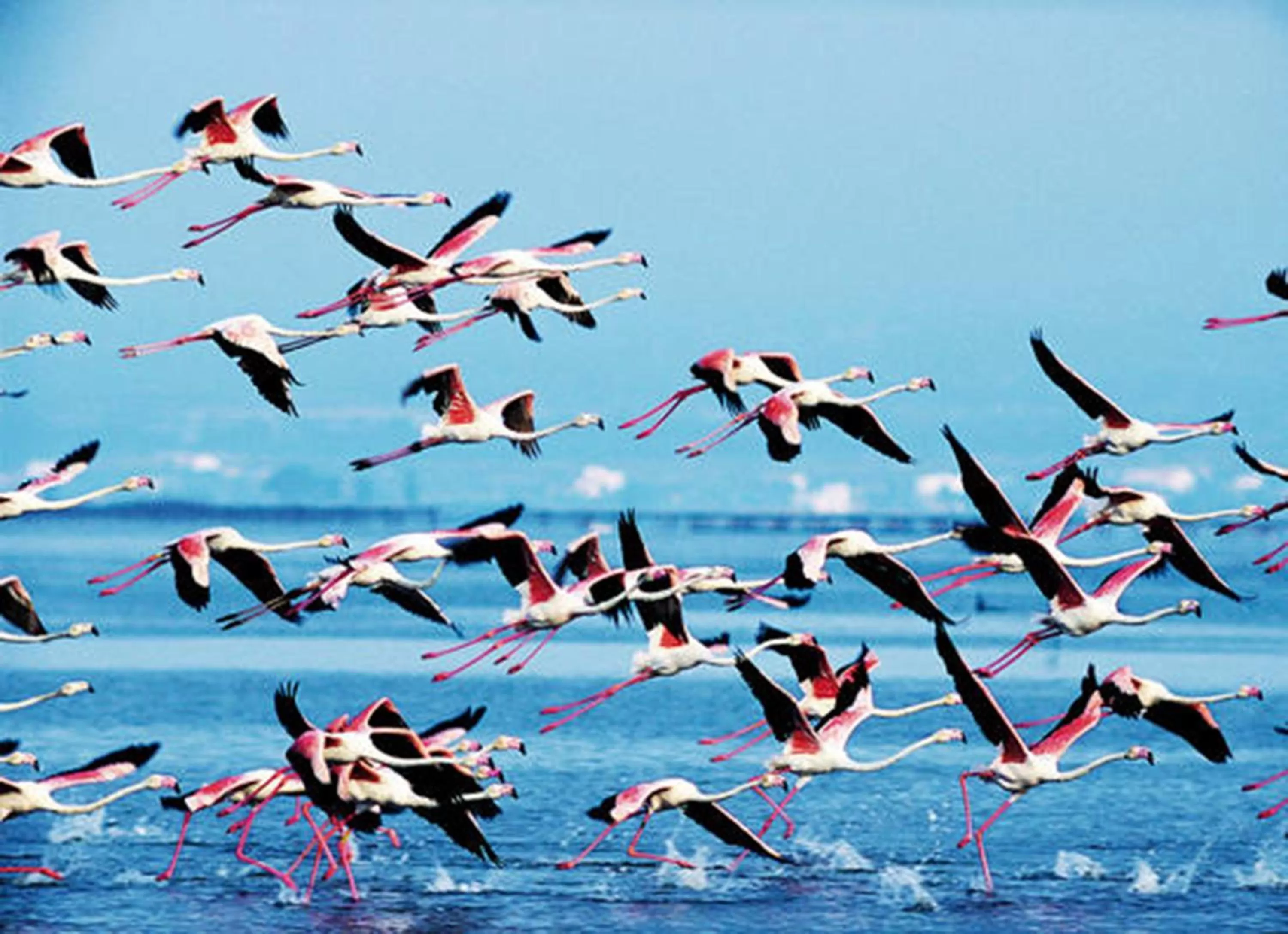 Nearby landmark in Delta Hotel