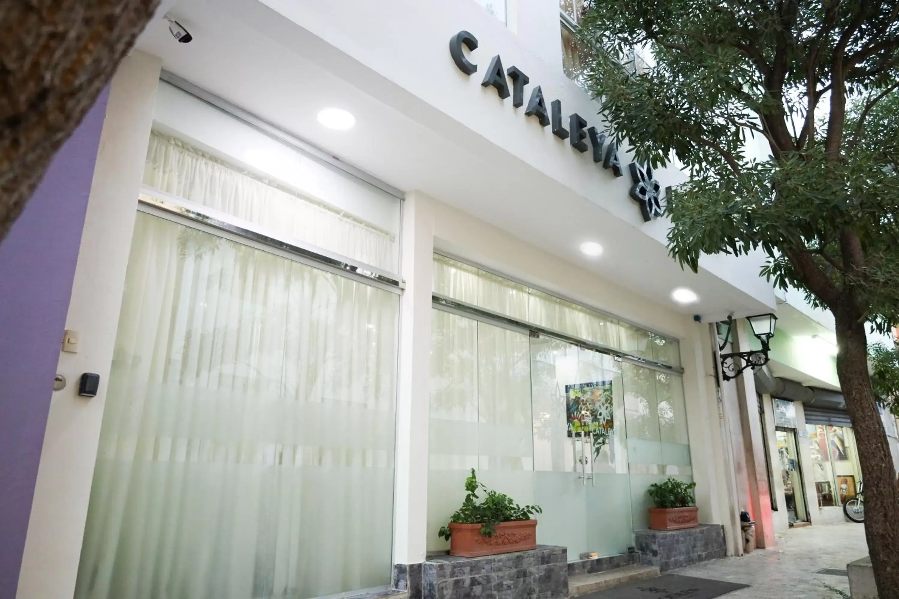 Cataleya Hotel Cataleya Hotel