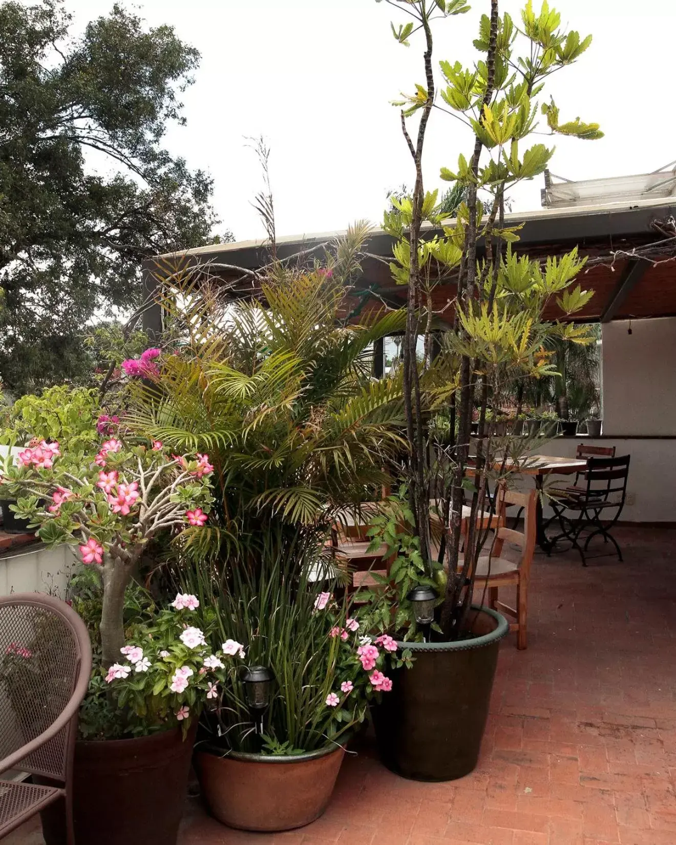 Patio in Casa Grana Cochinilla