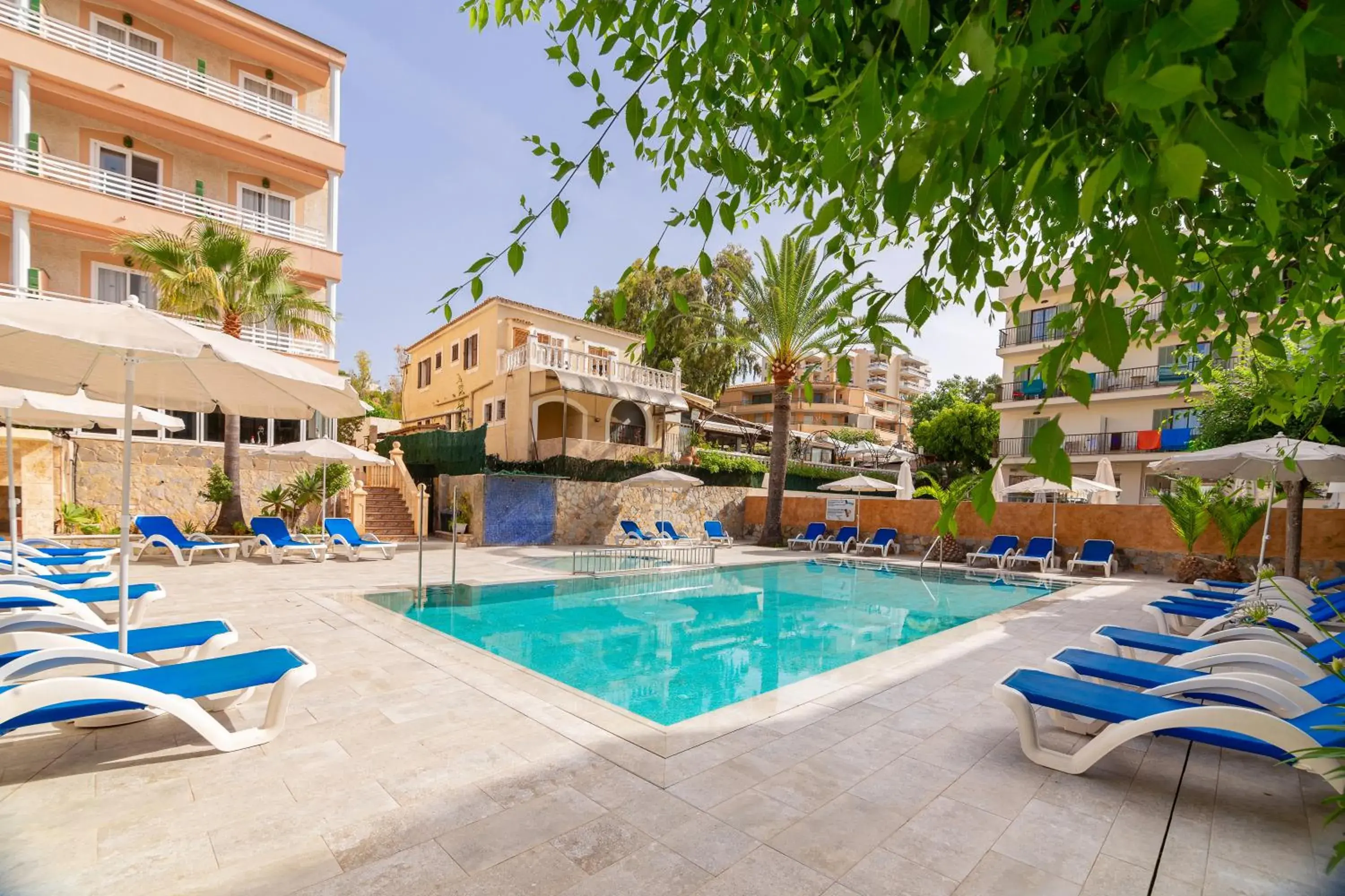 Swimming Pool in Hotel Venecia