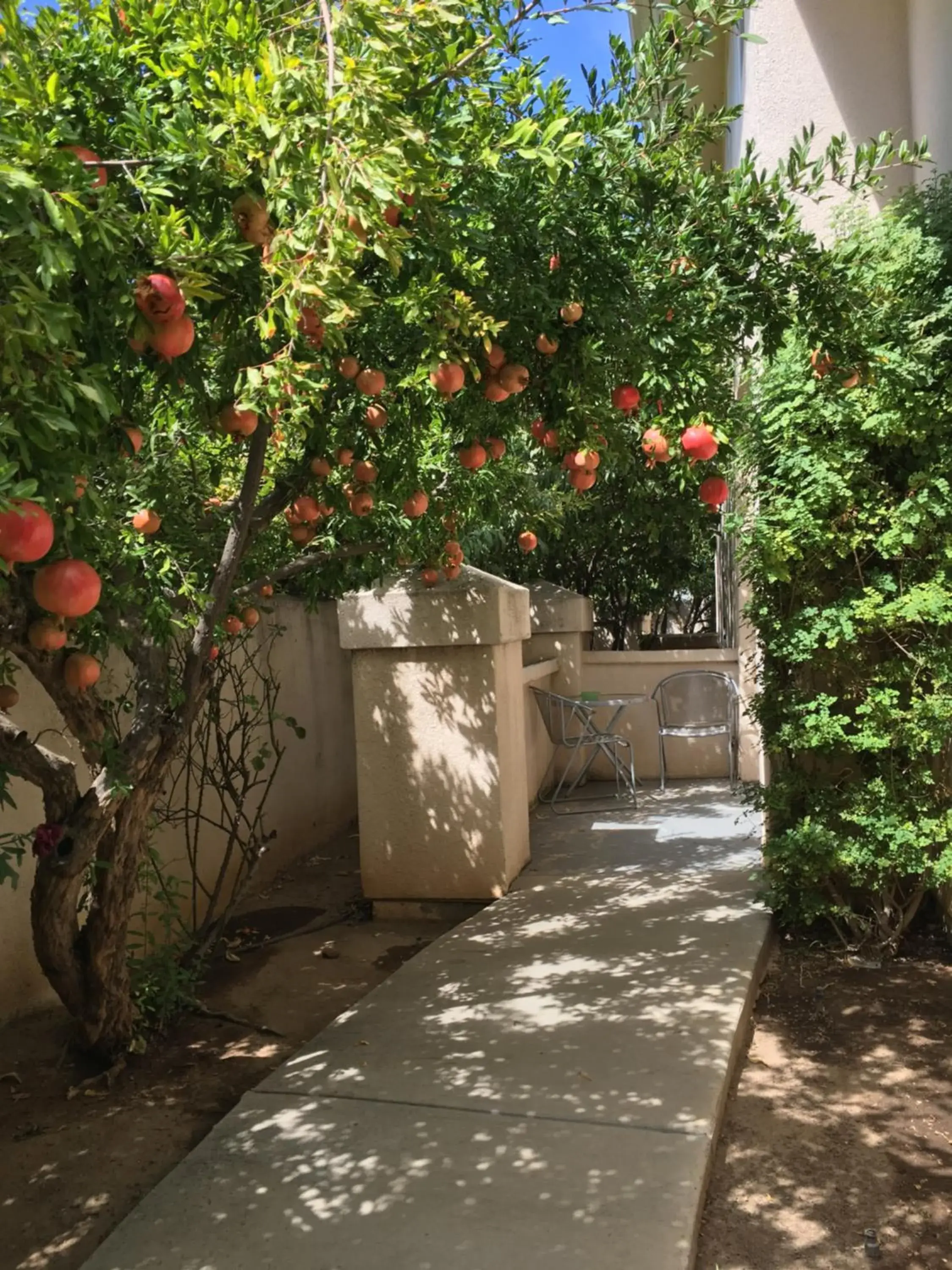 Garden, Patio/Outdoor Area in Garden Inn and Suites Fresno