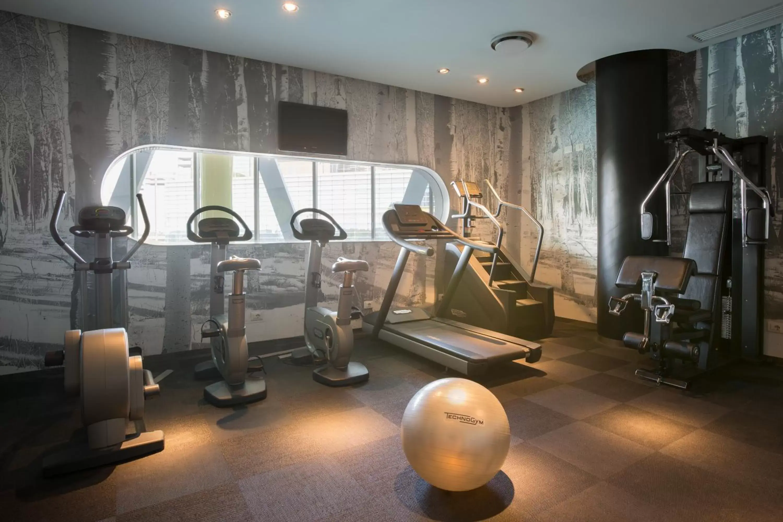 Fitness centre/facilities, Fitness Center/Facilities in voco Milan-Fiere, an IHG Hotel