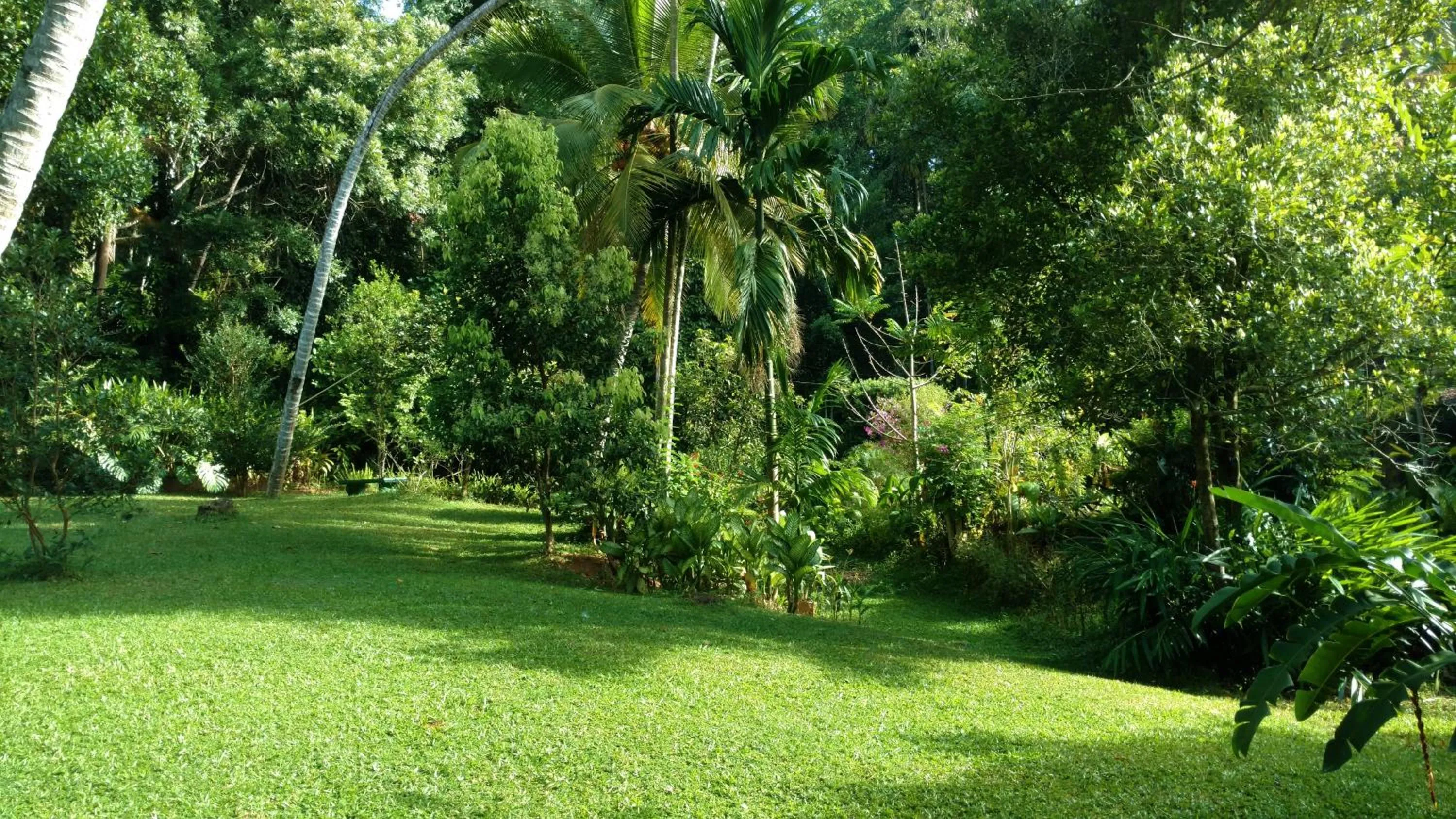 Natural landscape in Sweet Cinnamon Kandy
