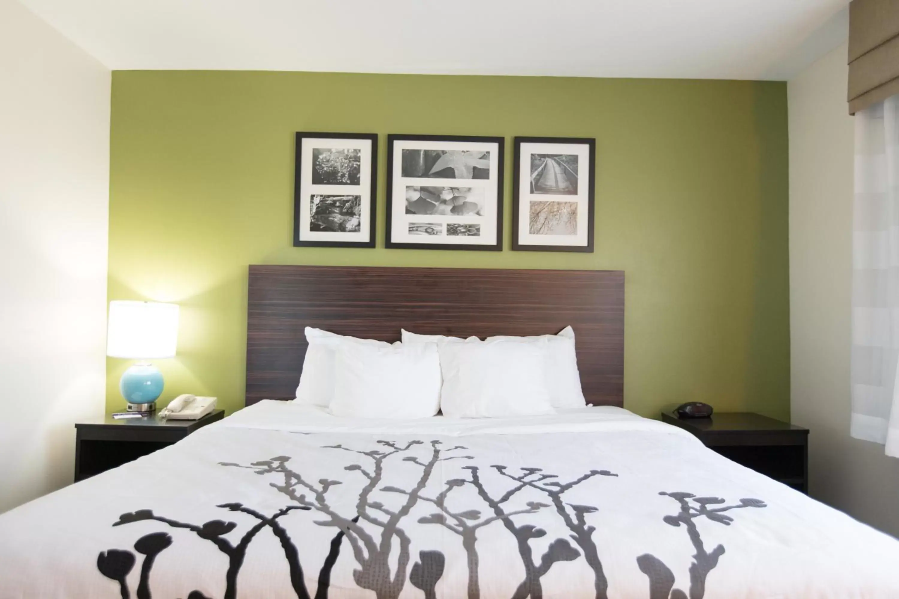 Bed in Sleep Inn & Suites Pleasant Hill - Des Moines Bed in Sleep Inn & Suites Pleasant Hill - Des Moines