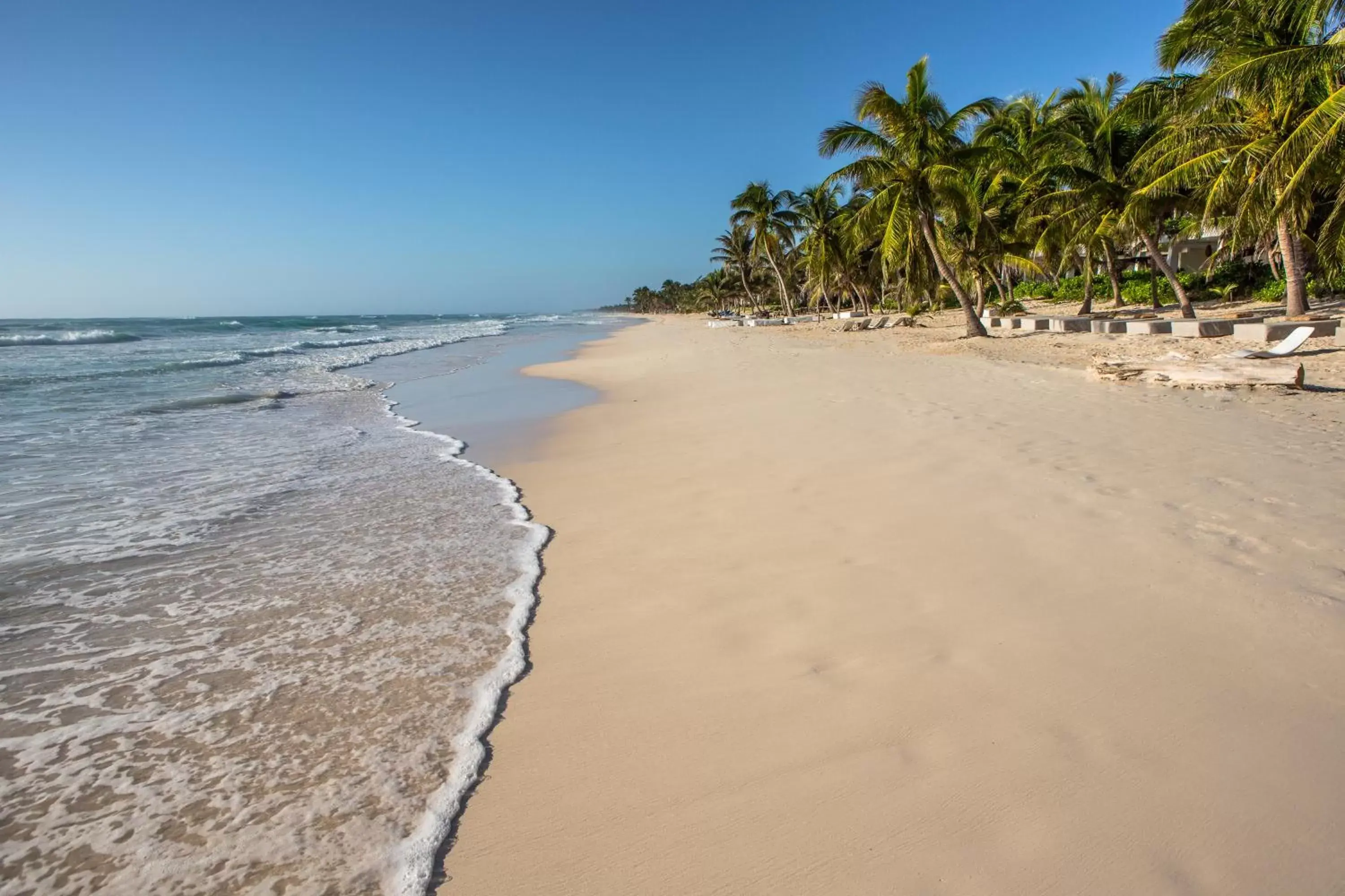 Beach in The Beach Tulum