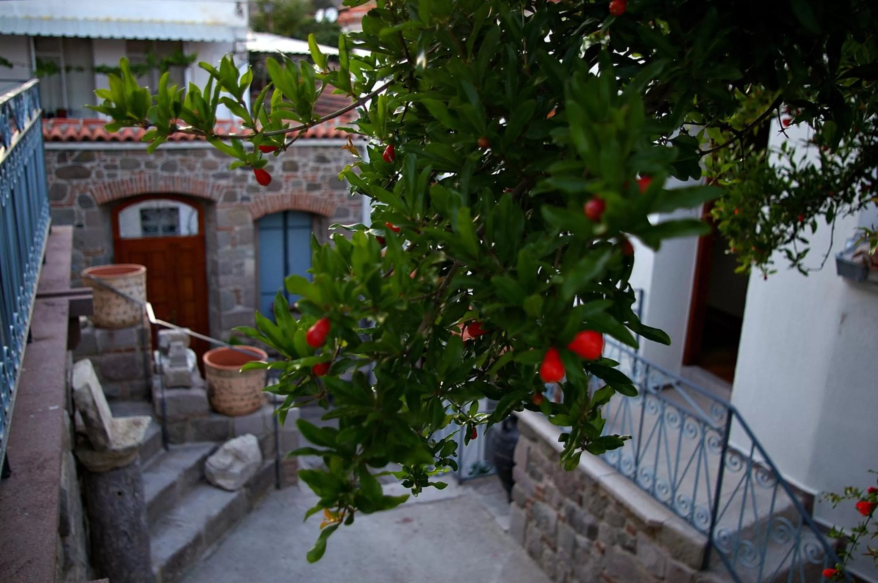 Garden in Hera Hotel