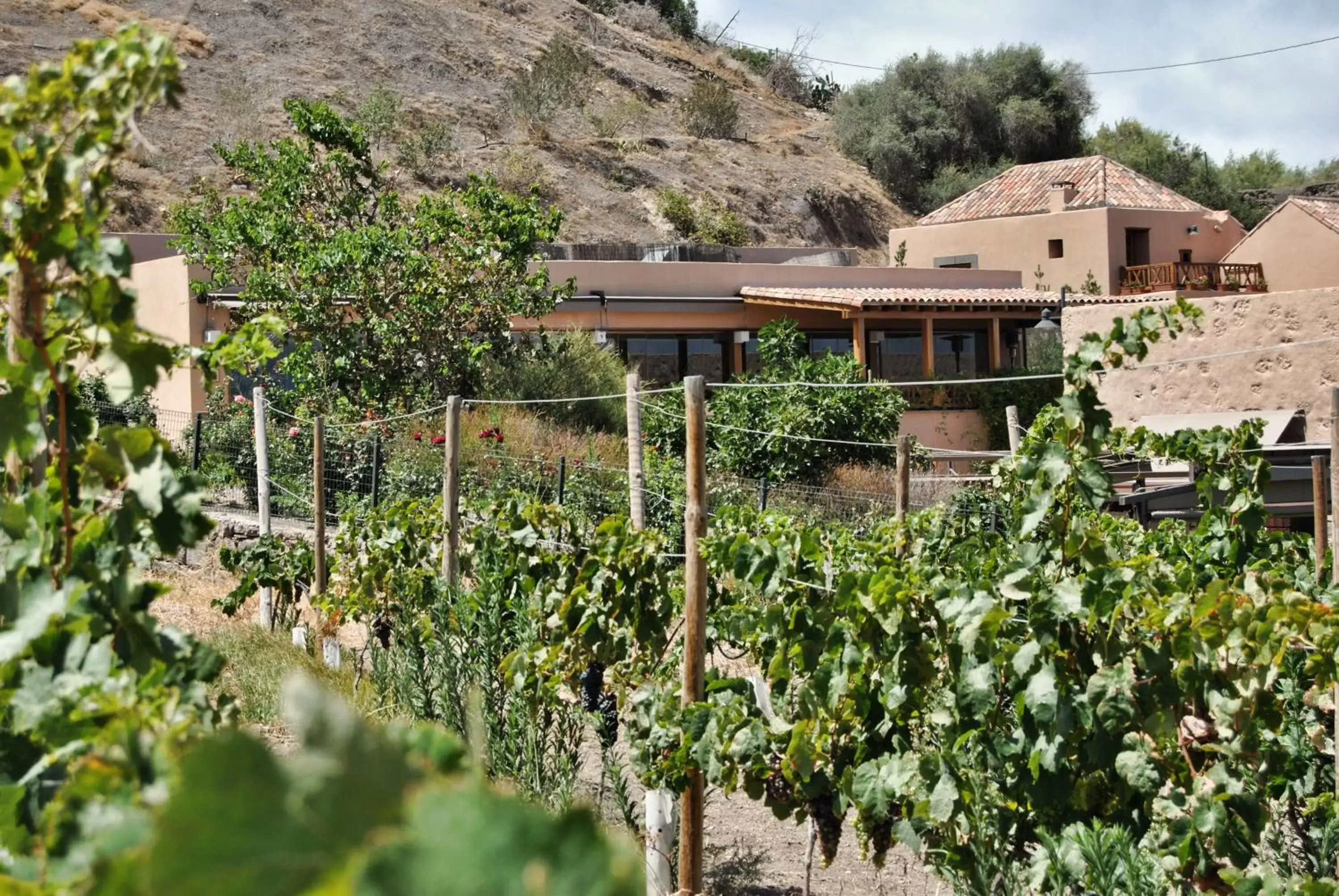 Natural landscape, Property Building in Hotel Rural El Mondalón