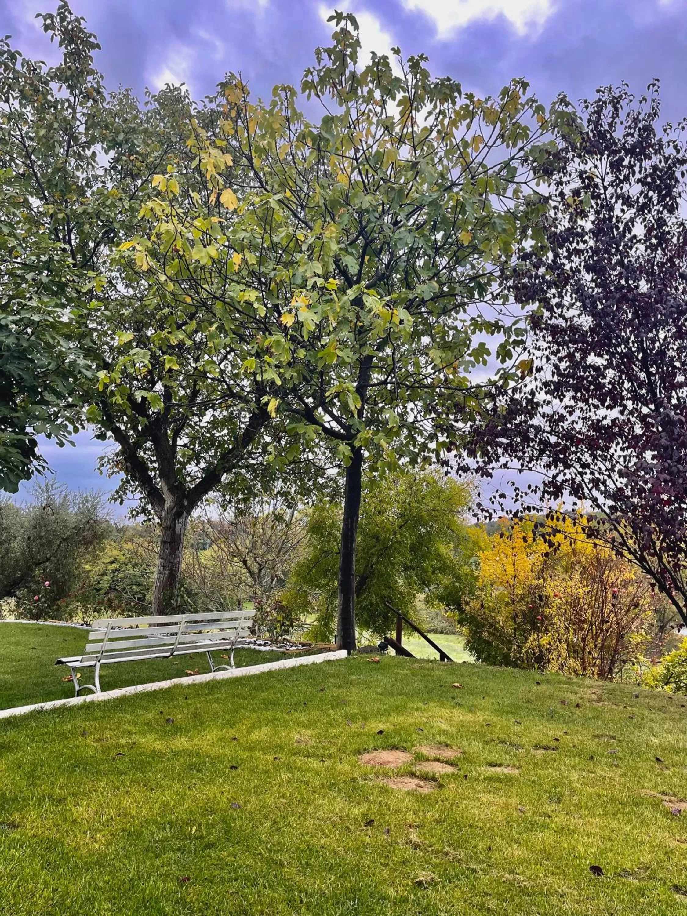 Garden in B&B Sovenigo