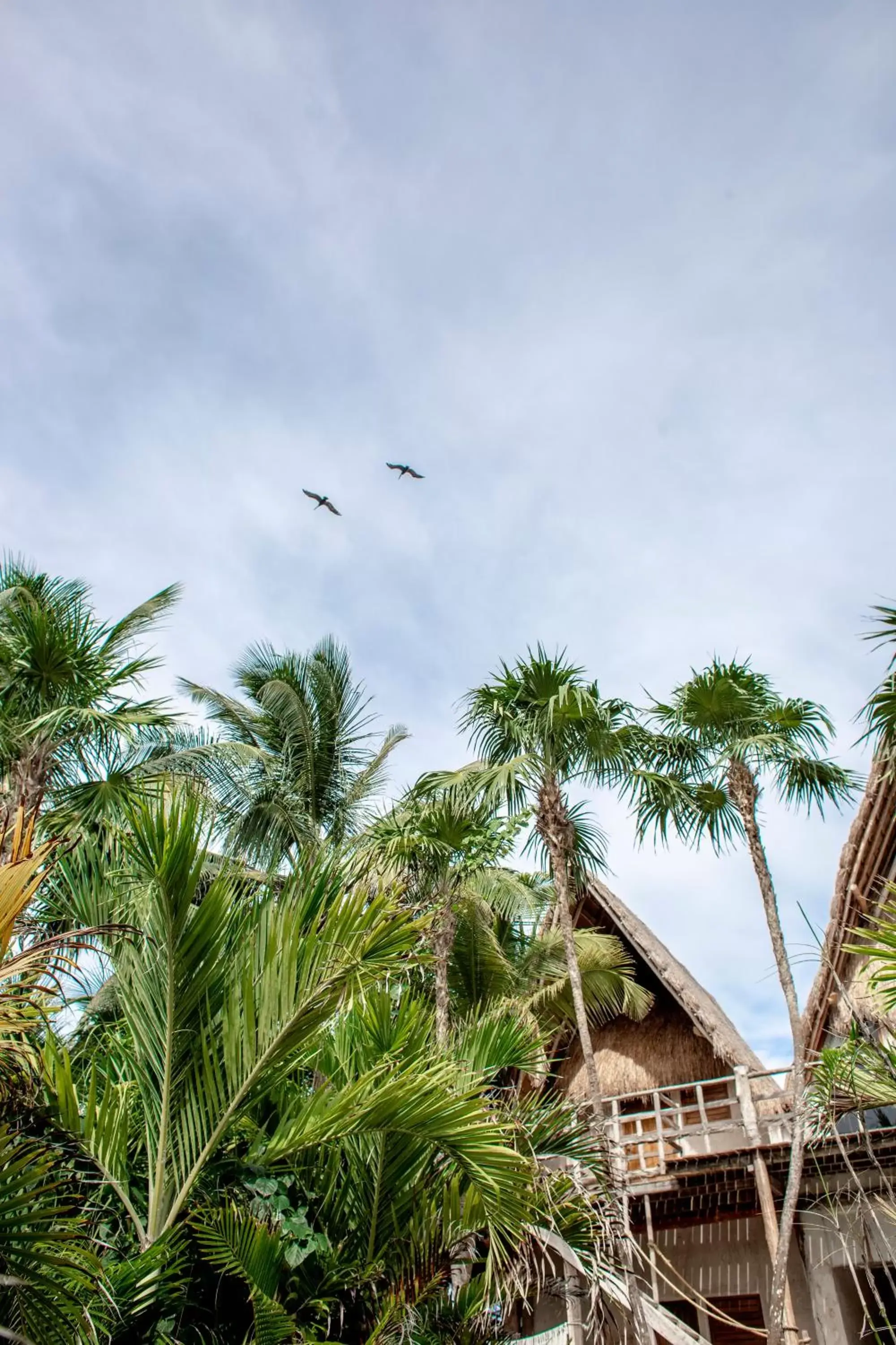 Natural landscape in La Valise Tulum