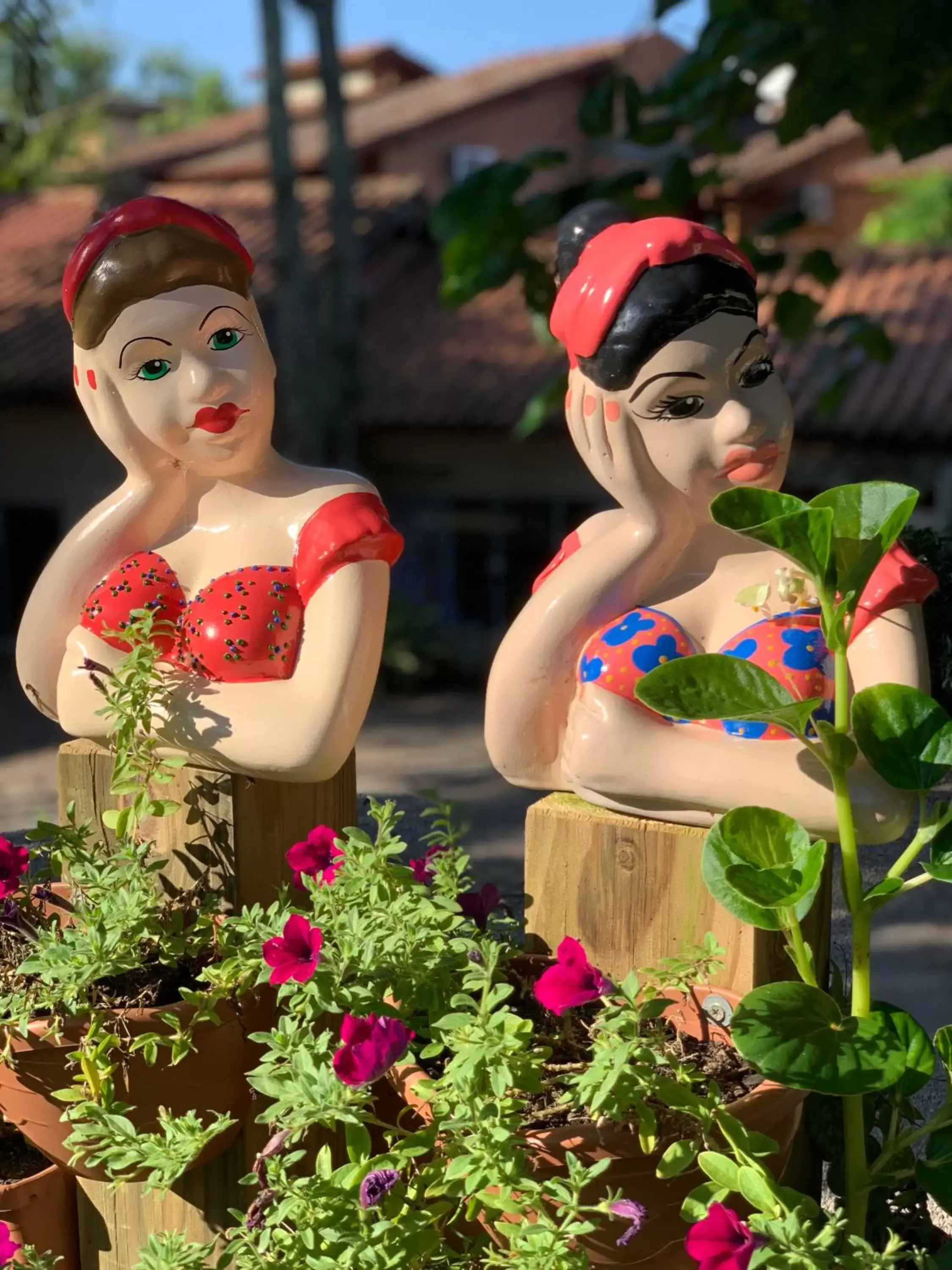 Garden, Children in Hotel São Sebastião da Praia