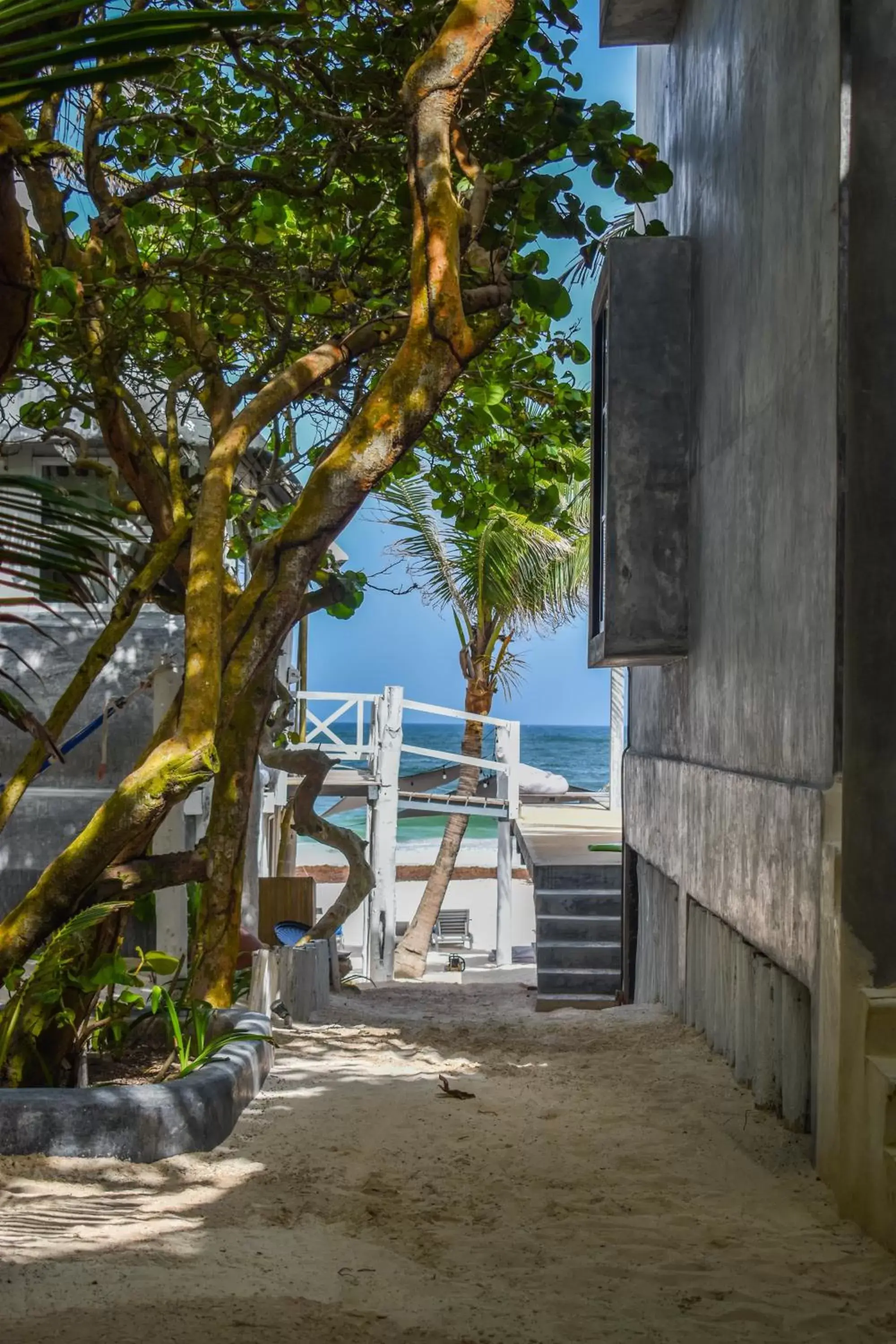 Patio, Swimming Pool in Posada Lamar Tulum Beach Front and Pool