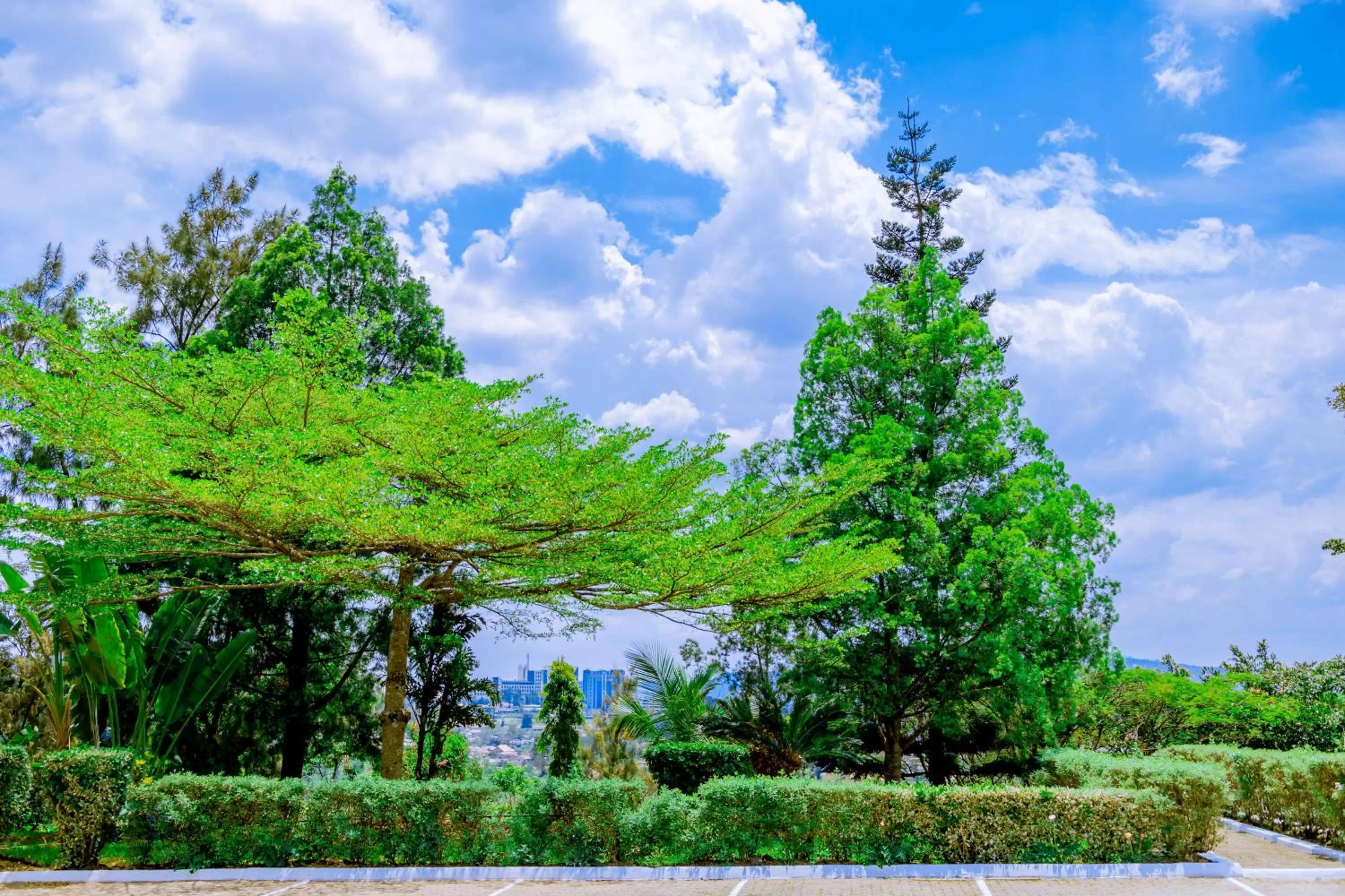 Natural landscape in Nature Kigali