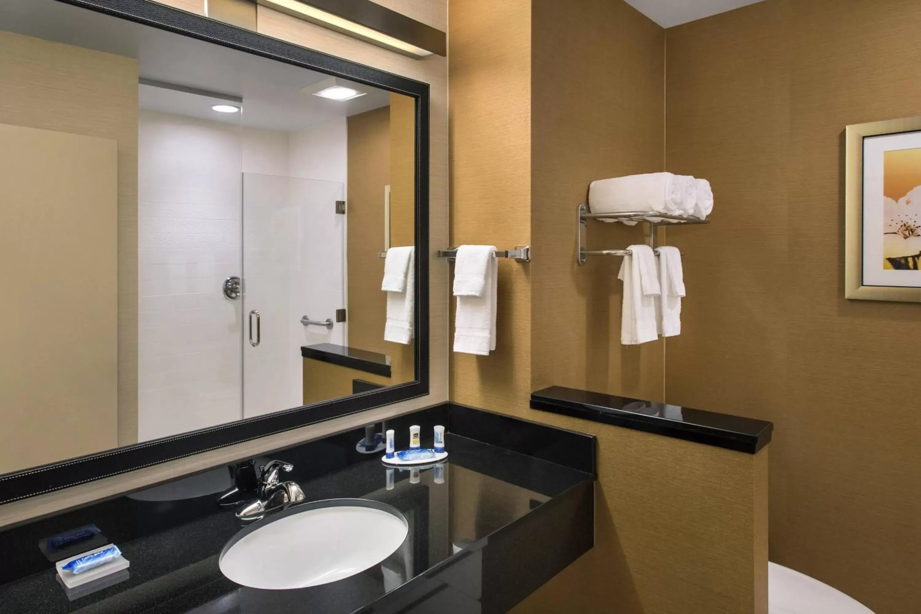 Bathroom in Fairfield Inn & Suites by Marriott New Castle