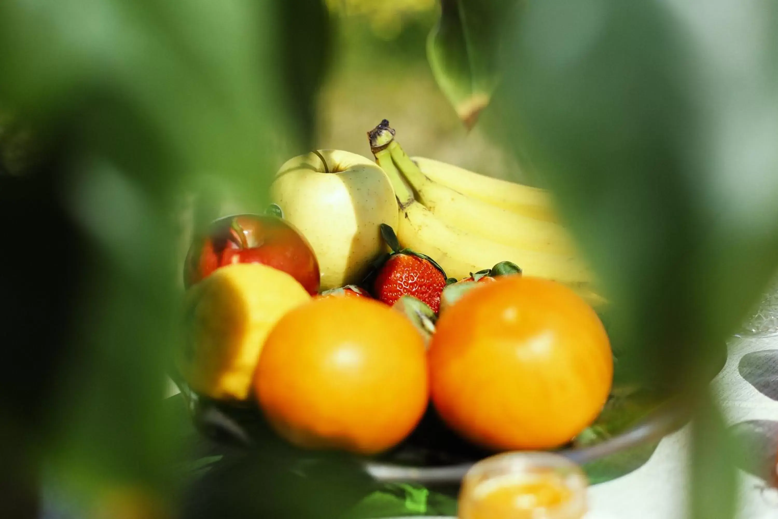 Garden, Food in Bed & Breakfast Spigolatrice