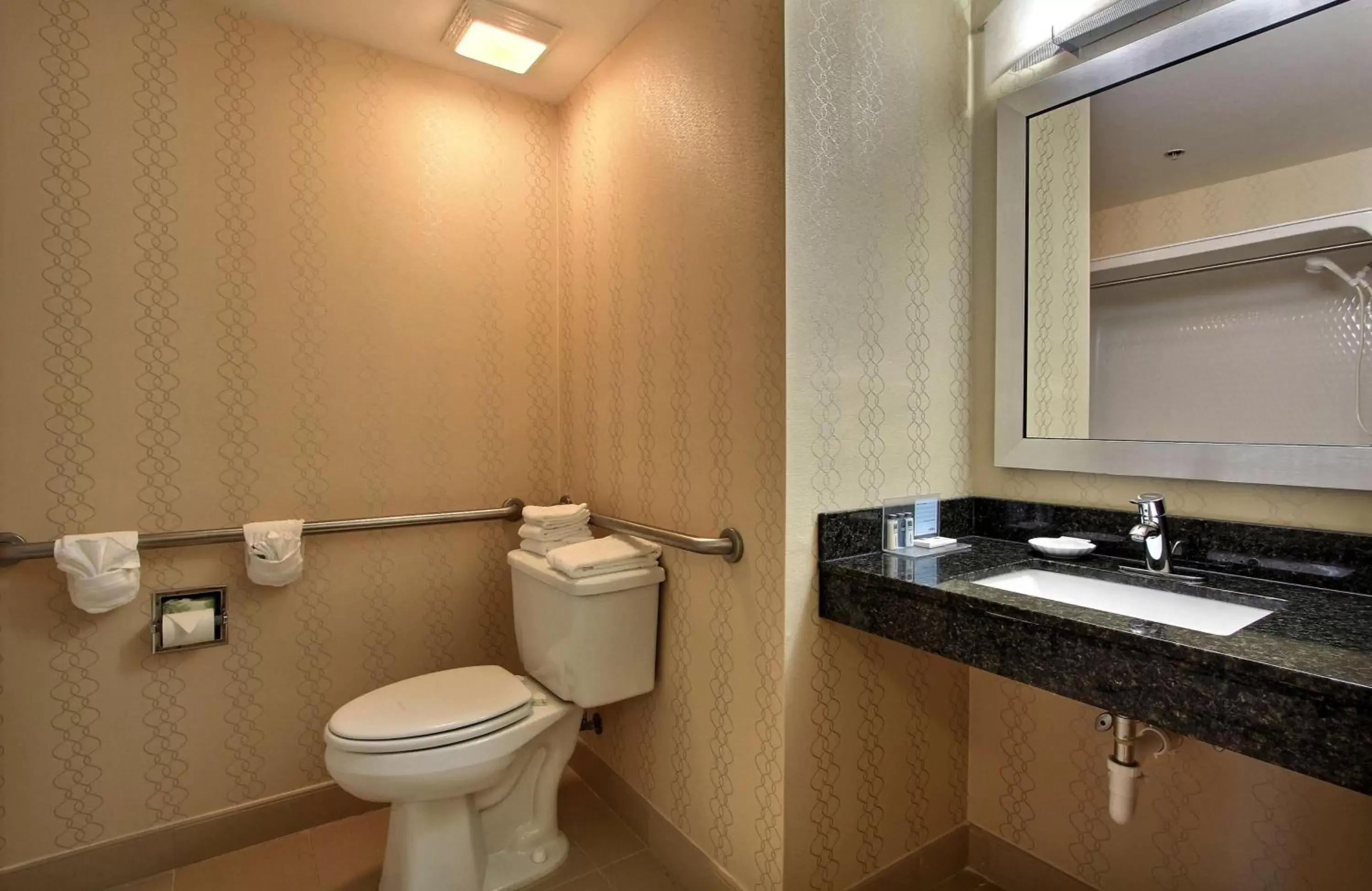 Bathroom in Hampton Inn Savannah-I-95/Richmond Hill