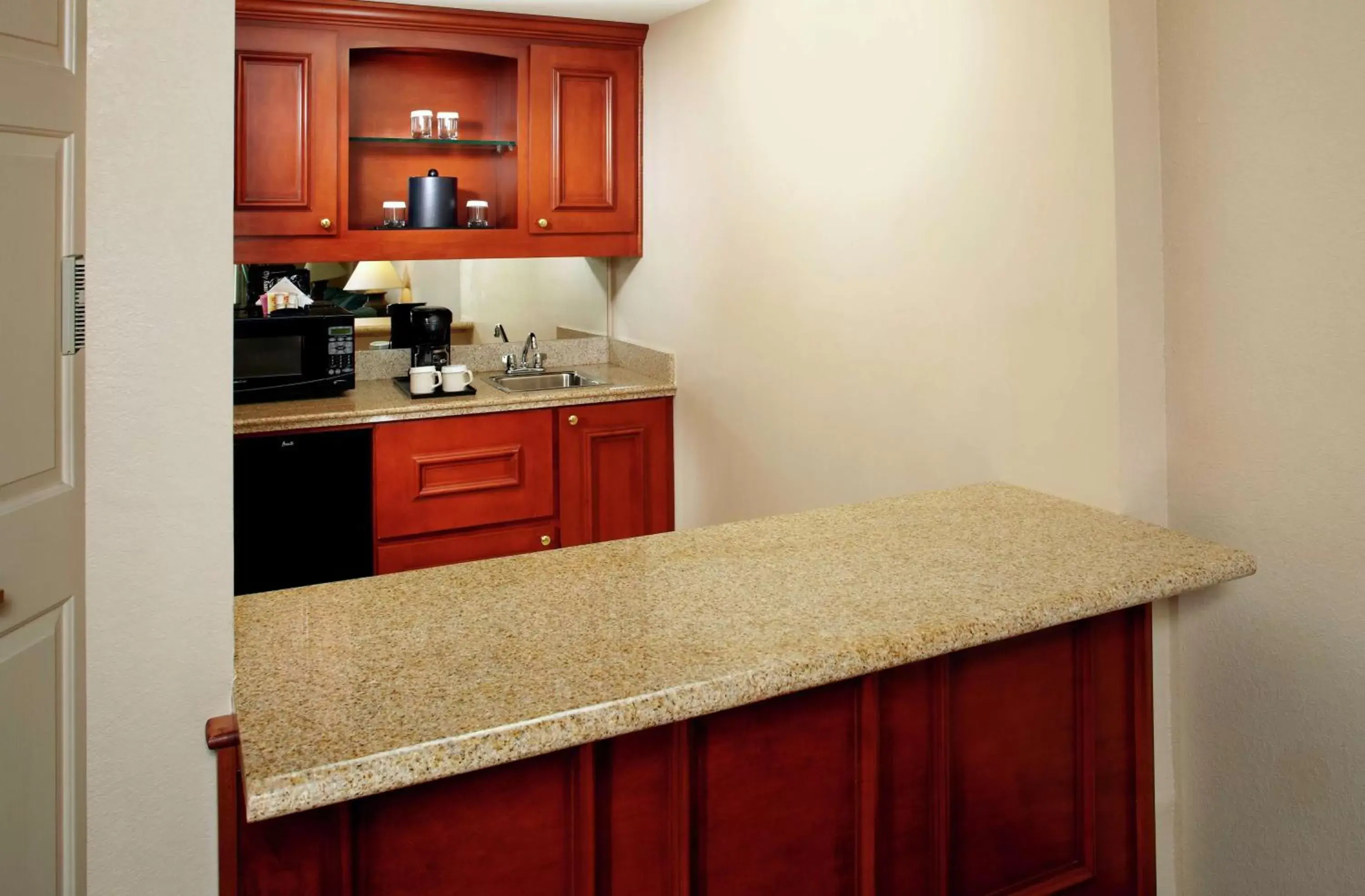 Other, Kitchen/Kitchenette in Hilton Garden Inn Tampa East Brandon