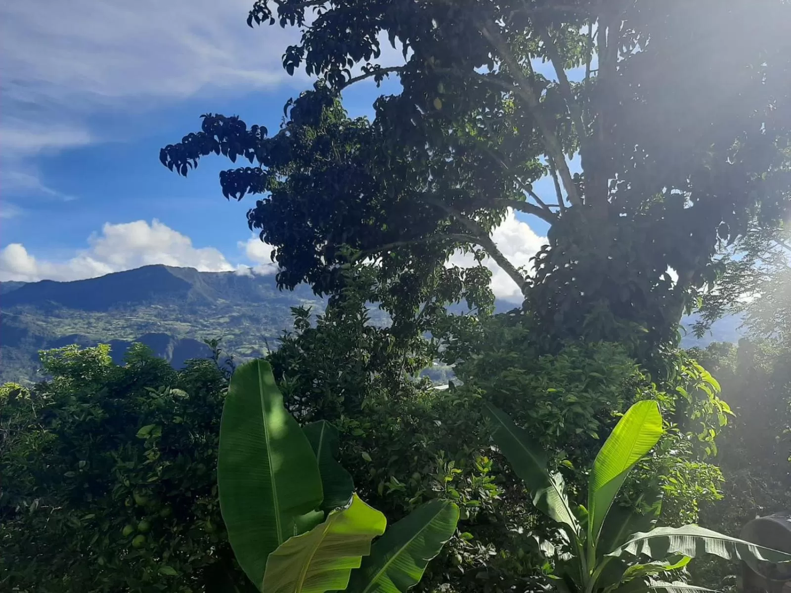 Natural landscape in Finca Umnisa - Choachi