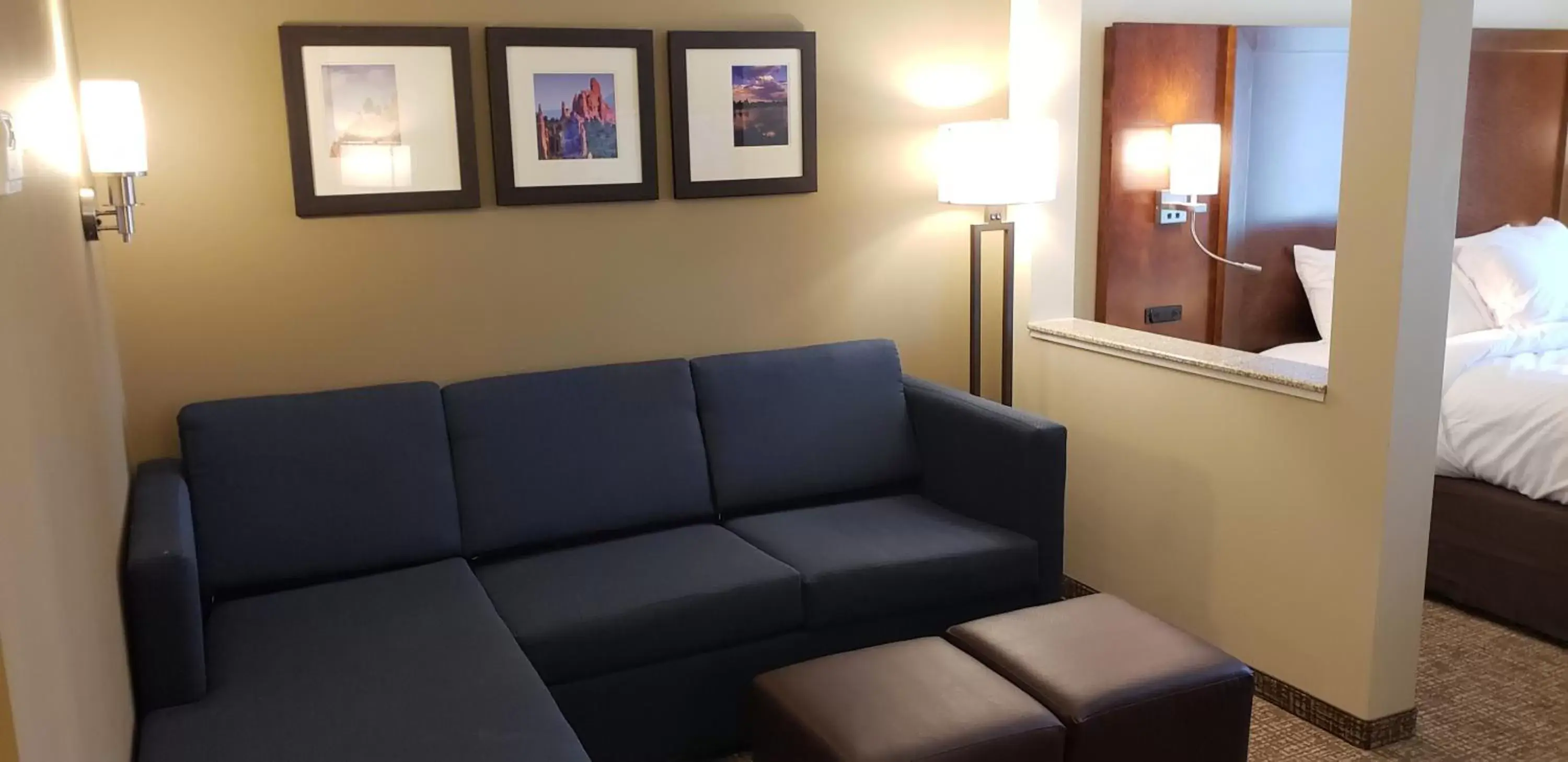 Living room, Seating Area in Comfort Suites Denver near Anschutz Medical Campus