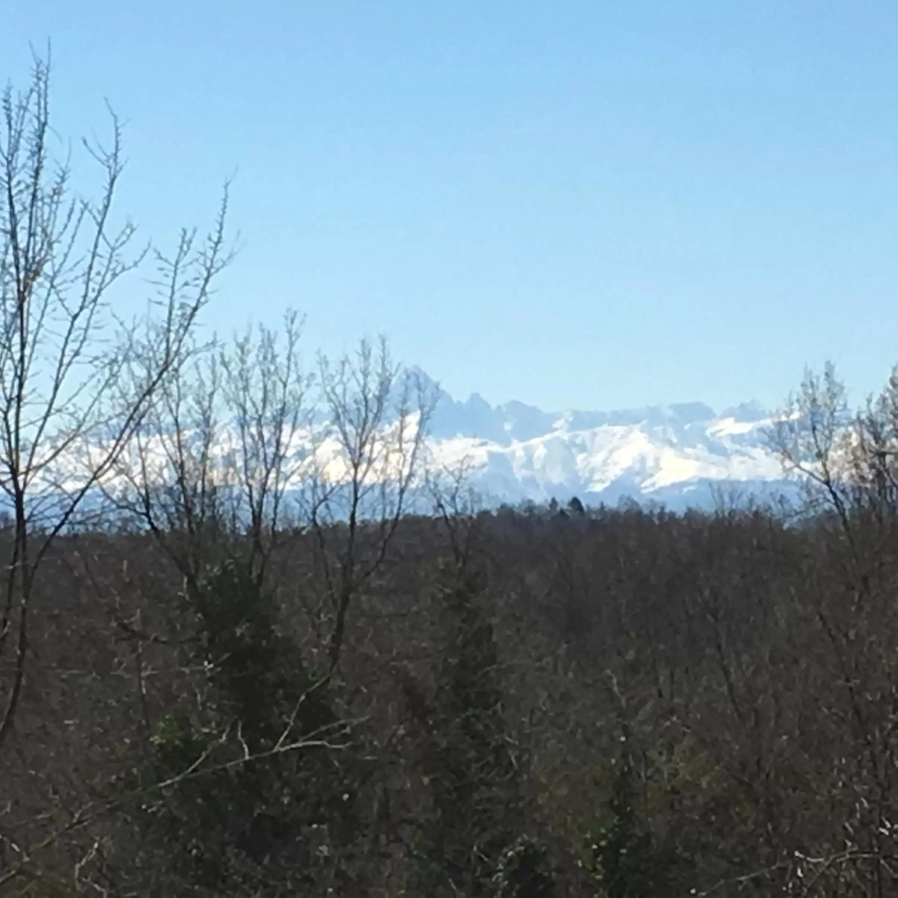 View (from property/room) in B&B La Semplice Nel Verde