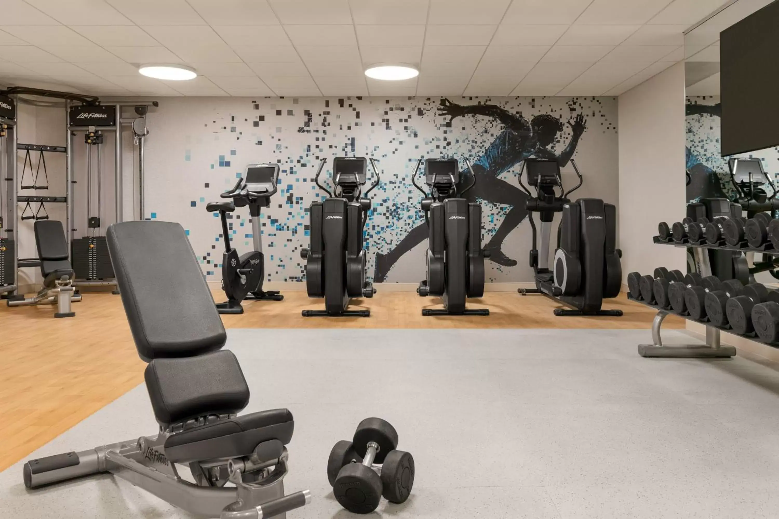 Fitness centre/facilities, Fitness Center/Facilities in Sheraton Raleigh Hotel