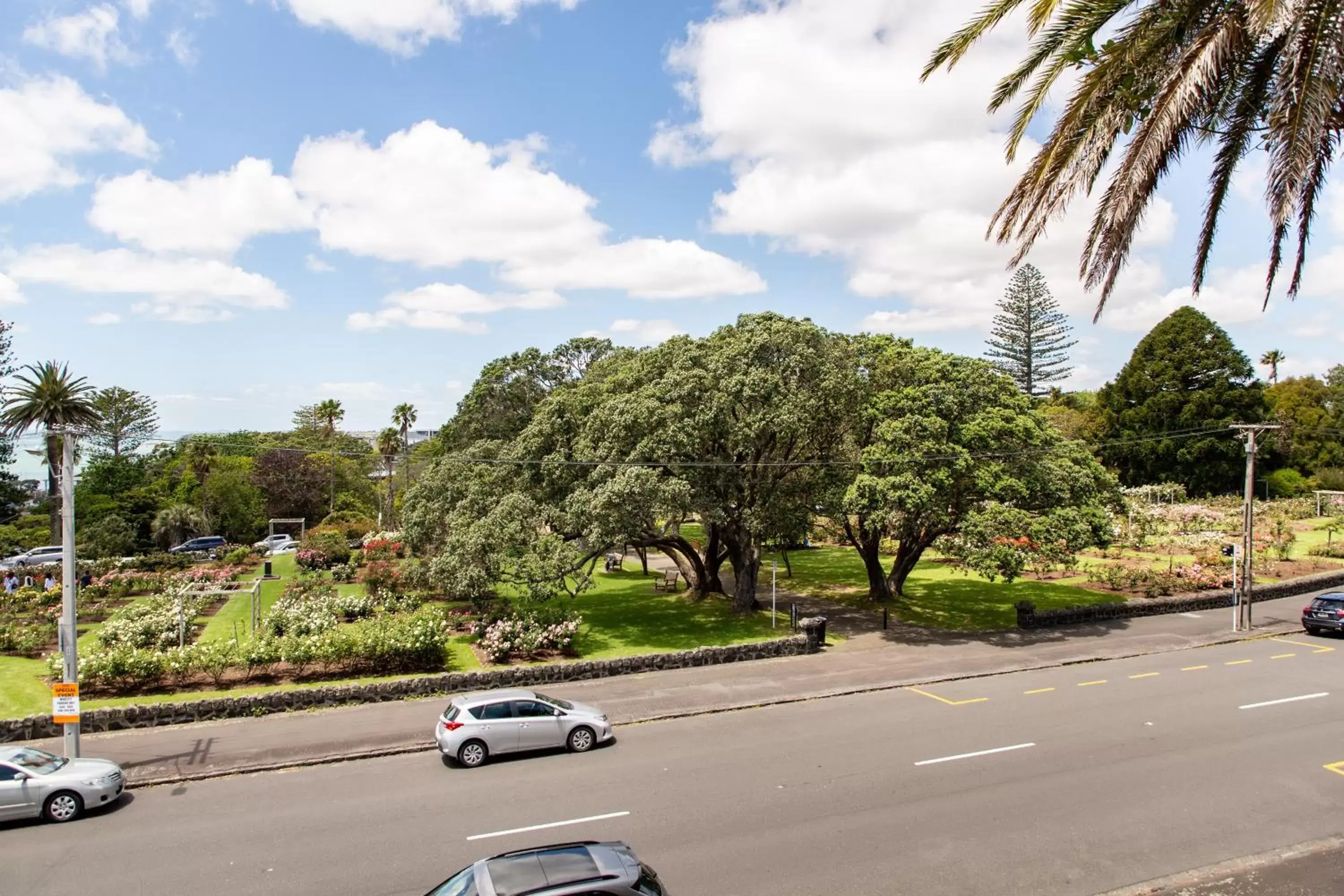 Garden view in Auckland Rose Park Hotel