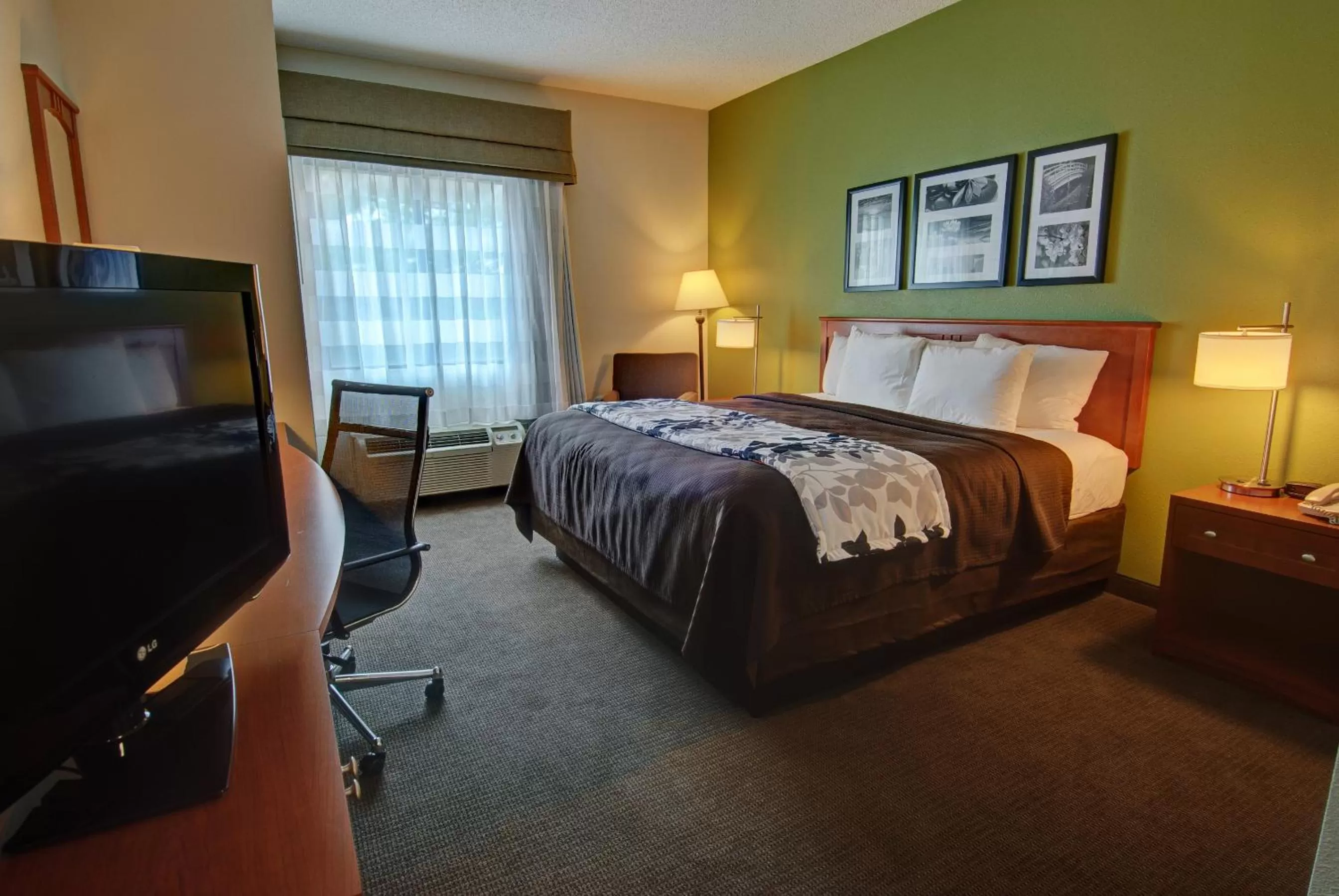 King Room - Accessible/Non-Smoking in Sleep Inn & Suites Winchester near University