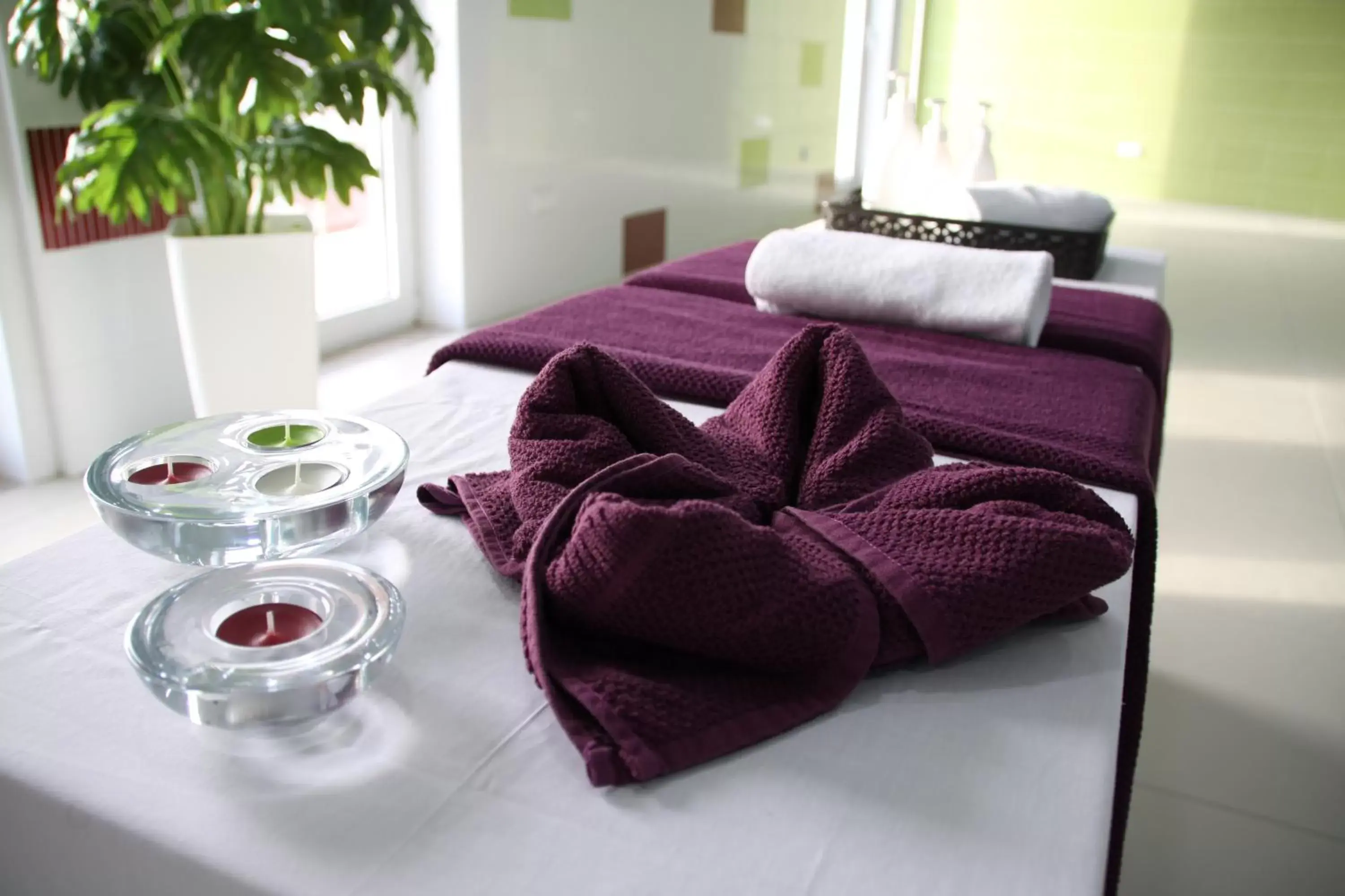 Spa and wellness centre/facilities in Palace Hotel & SPA Termas do Bicanho