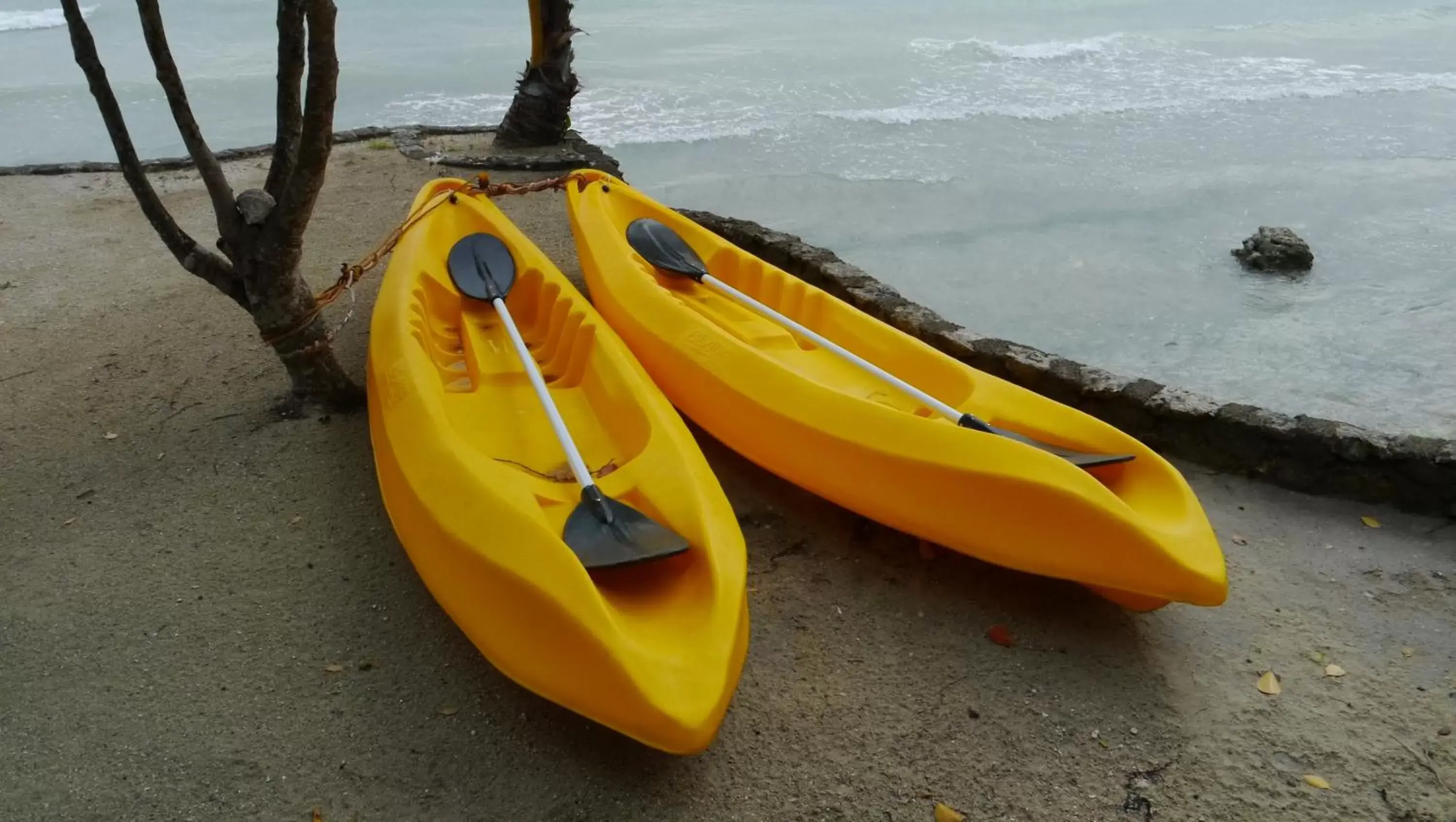 Canoeing, Beach in Moalboal T Breeze Coastal Resort