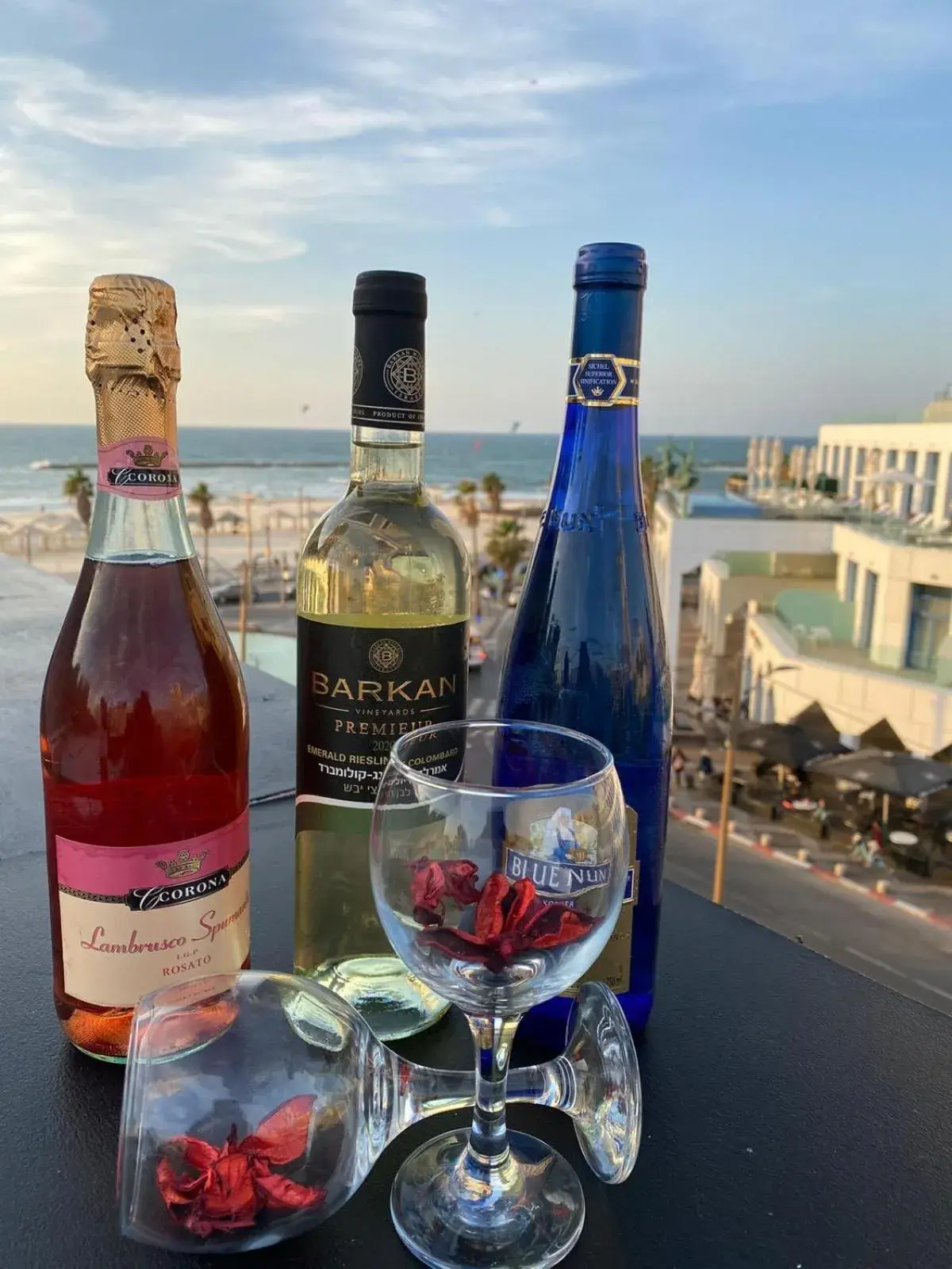 Sea view in Miami Beach Hotel Tel Aviv