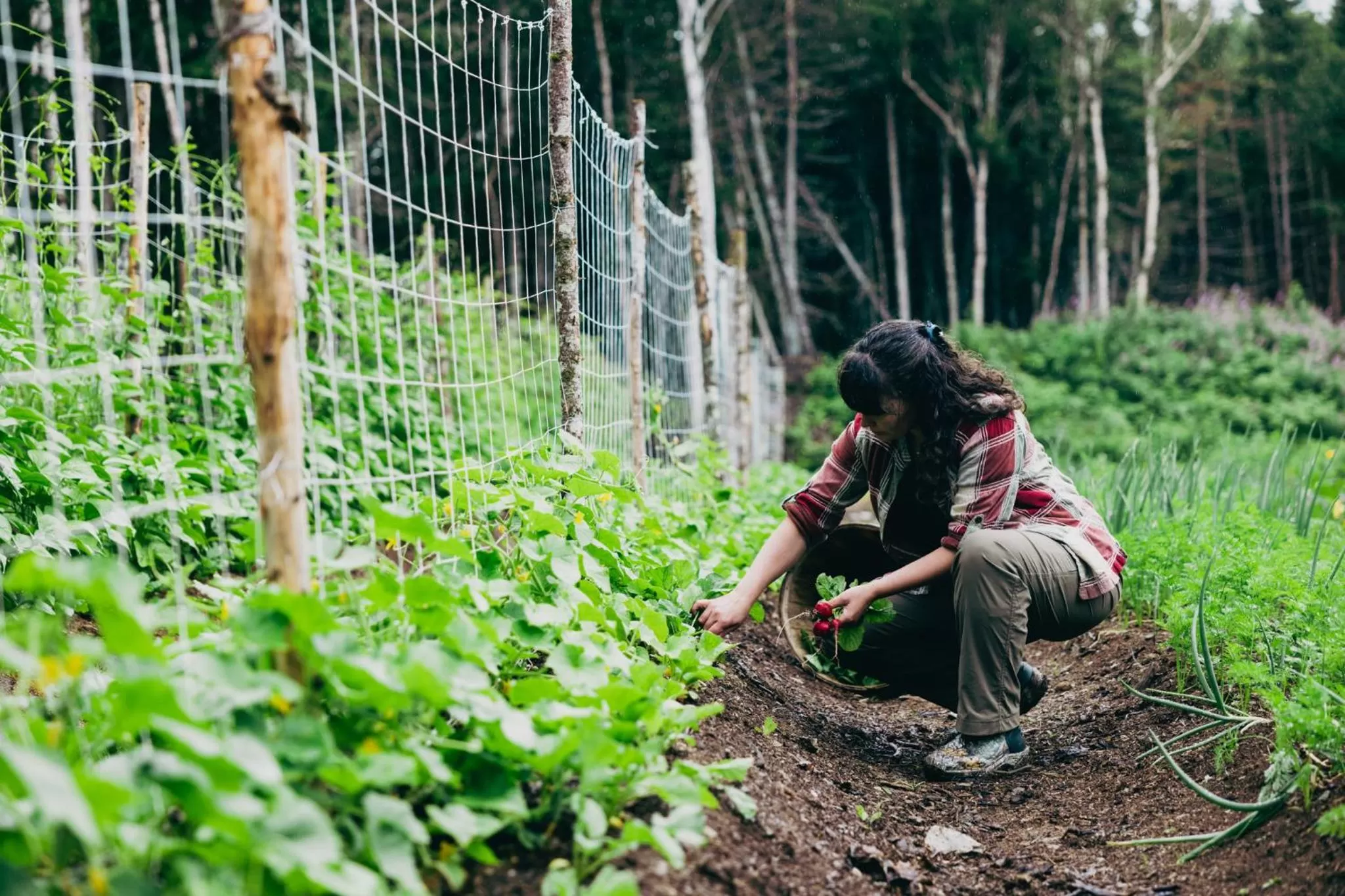 Upper Humber Settlement a FarmStay B&B