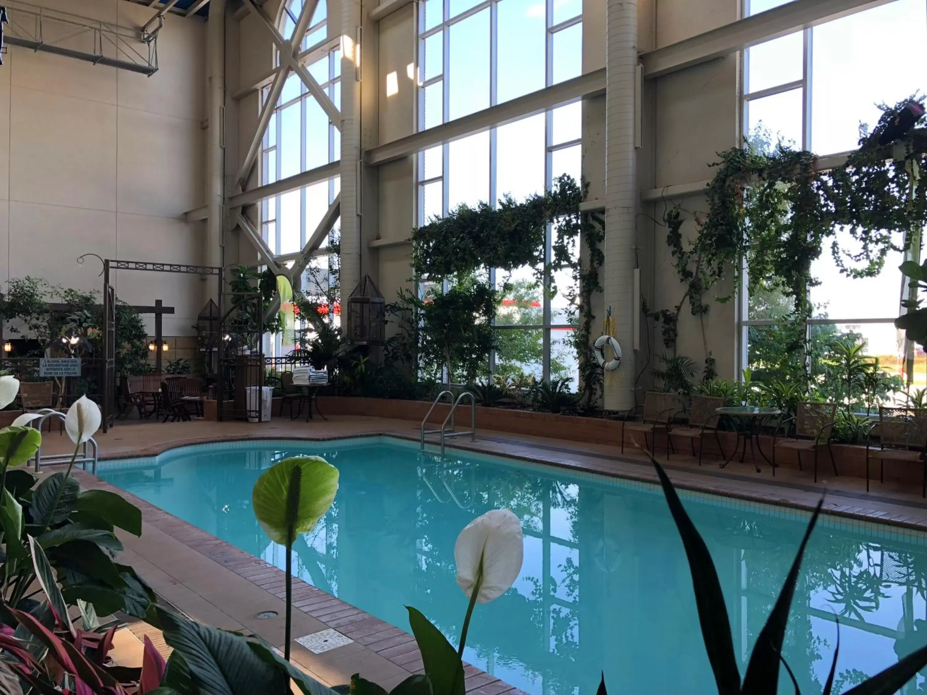 Swimming Pool in Hotel L'Oie des neiges